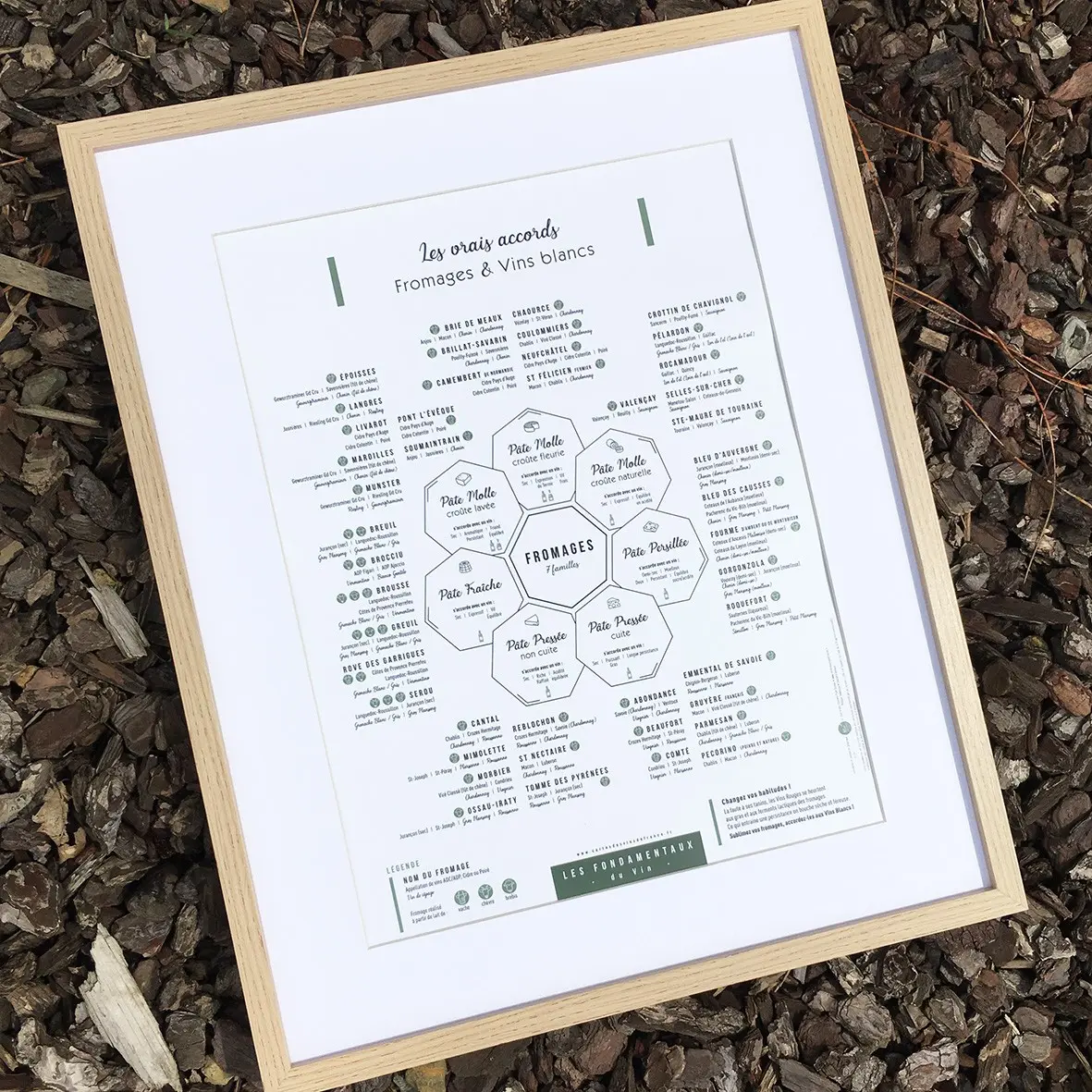 Cheese & White Wine Pairings 30x40 - Captivating