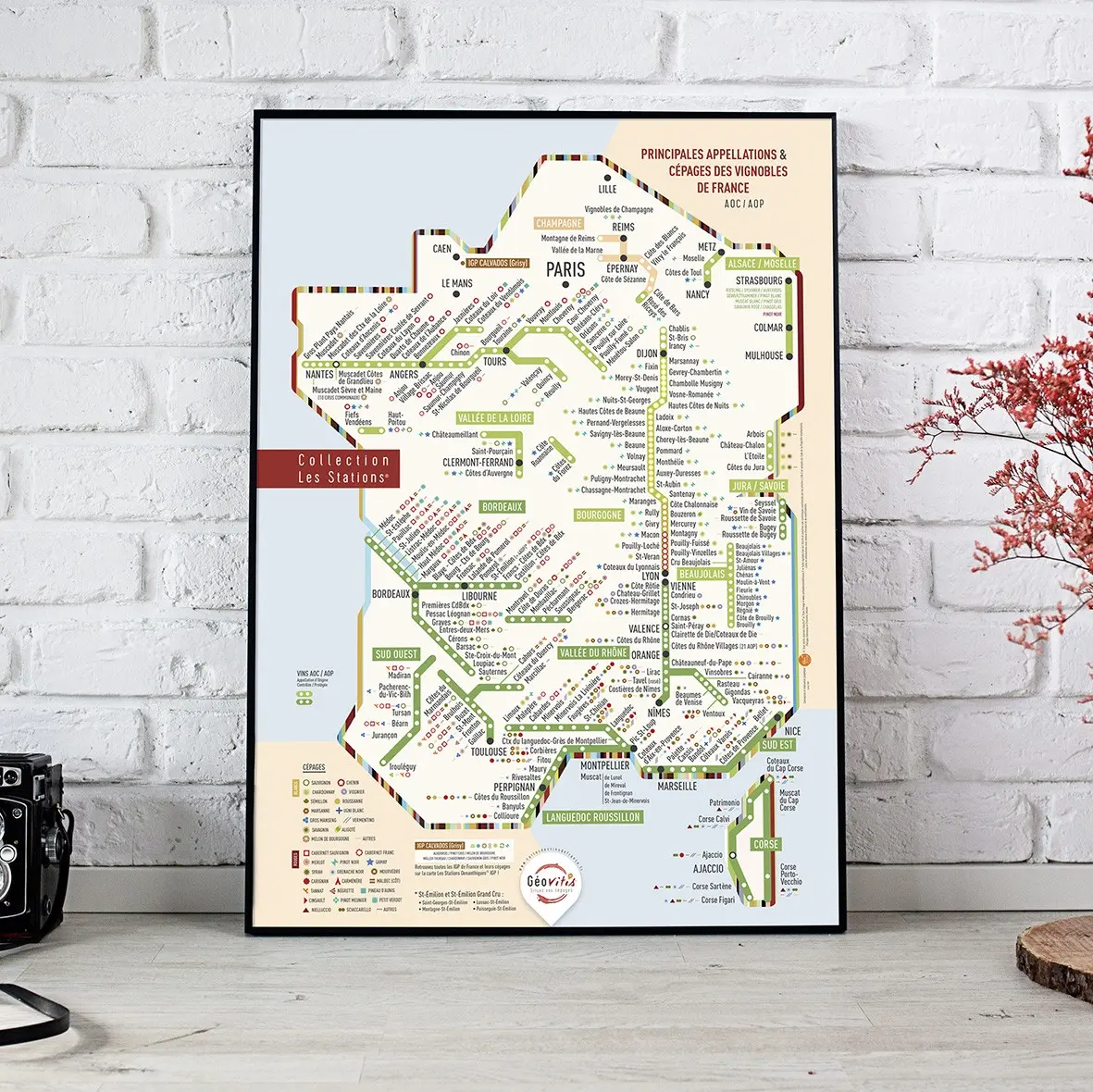 AOC/AOP wine poster & grape varieties 50x70 - Original version