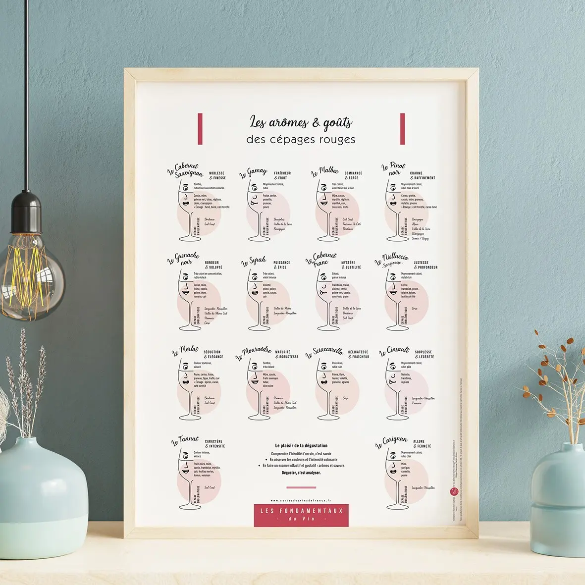 Aromas and Tastes Red Grape Varieties 30x40