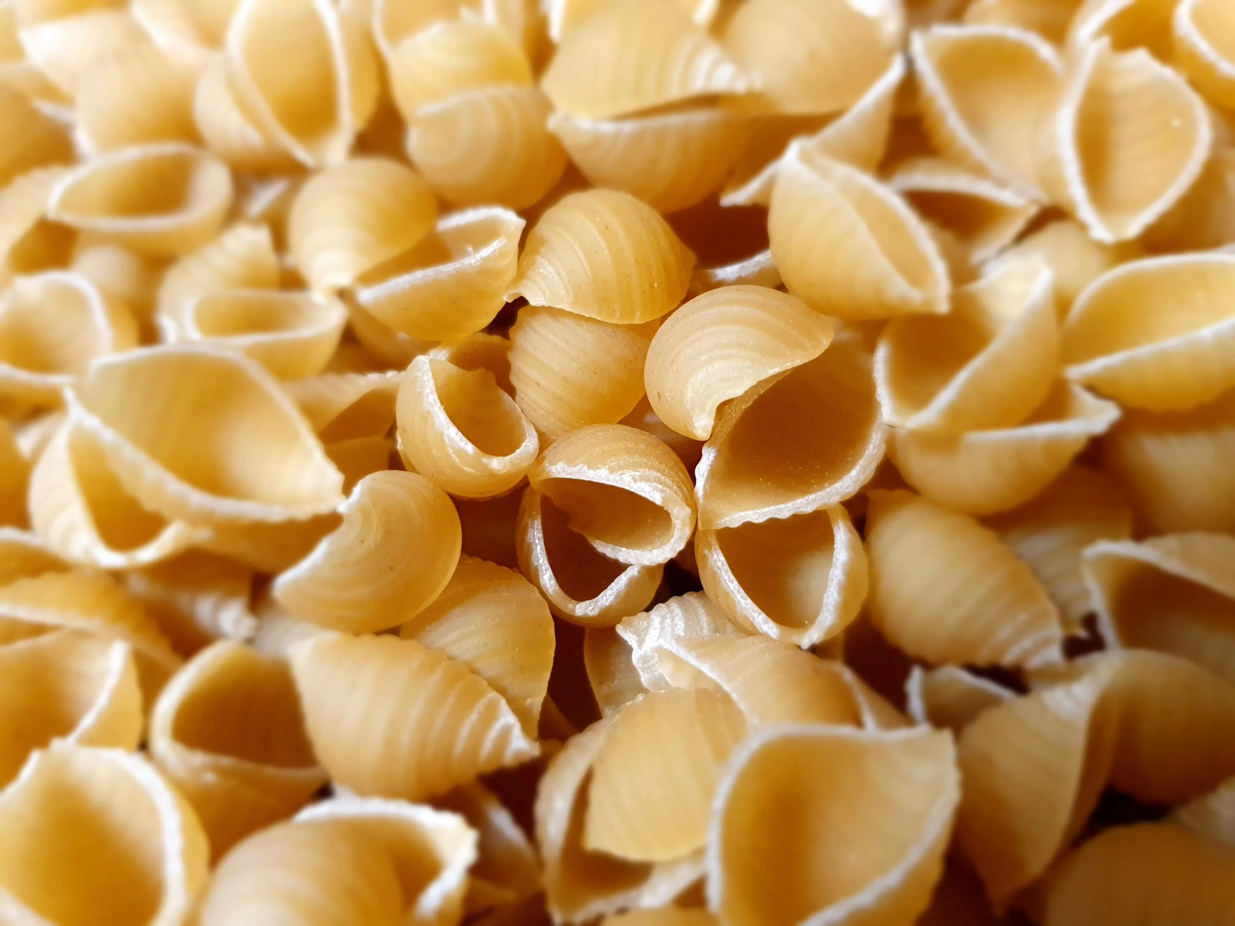 CONCHIGLIE TRADITION with durum wheat 500G