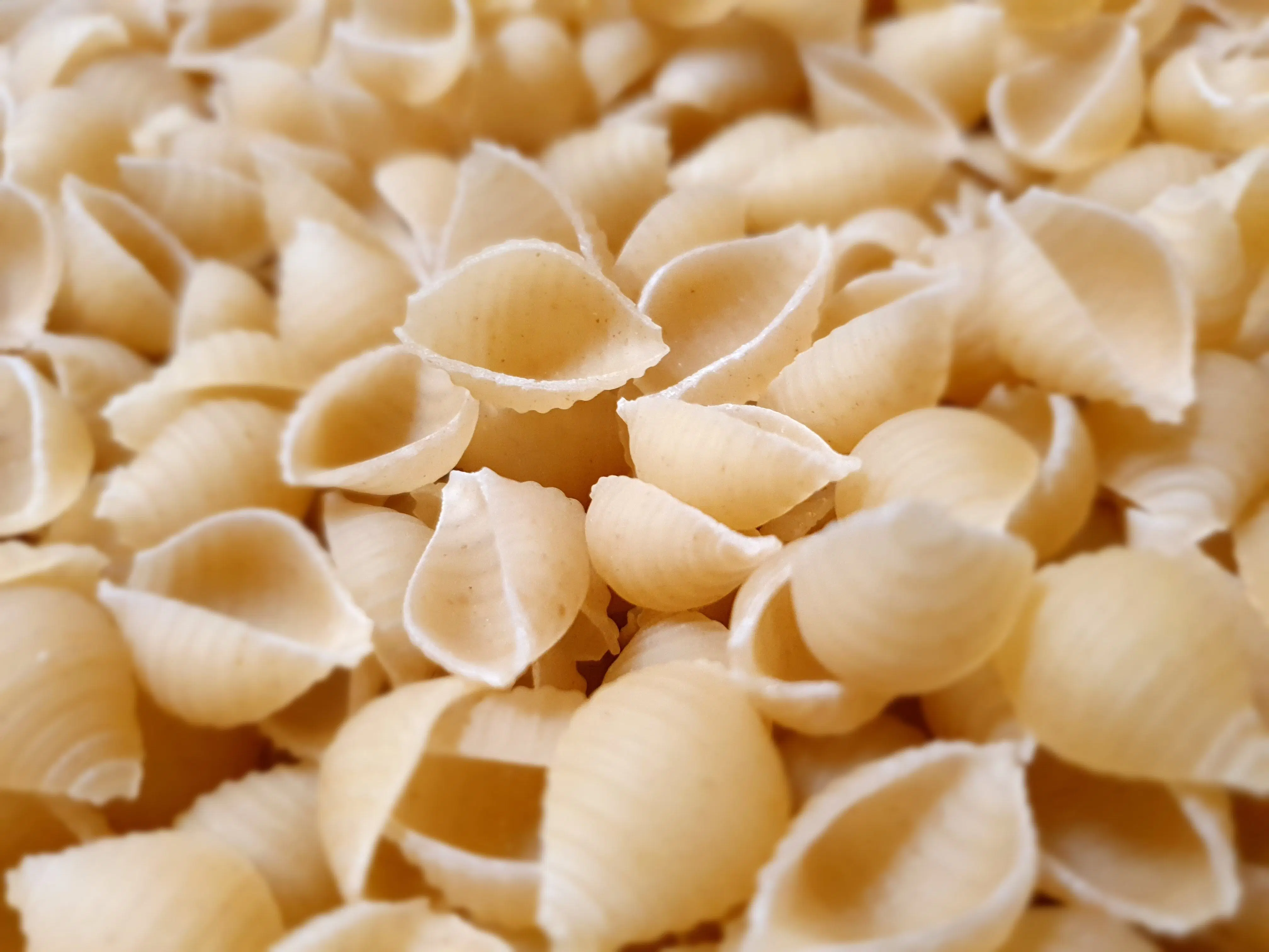 PEASANT CONCHIGLIA with soft wheat 500G