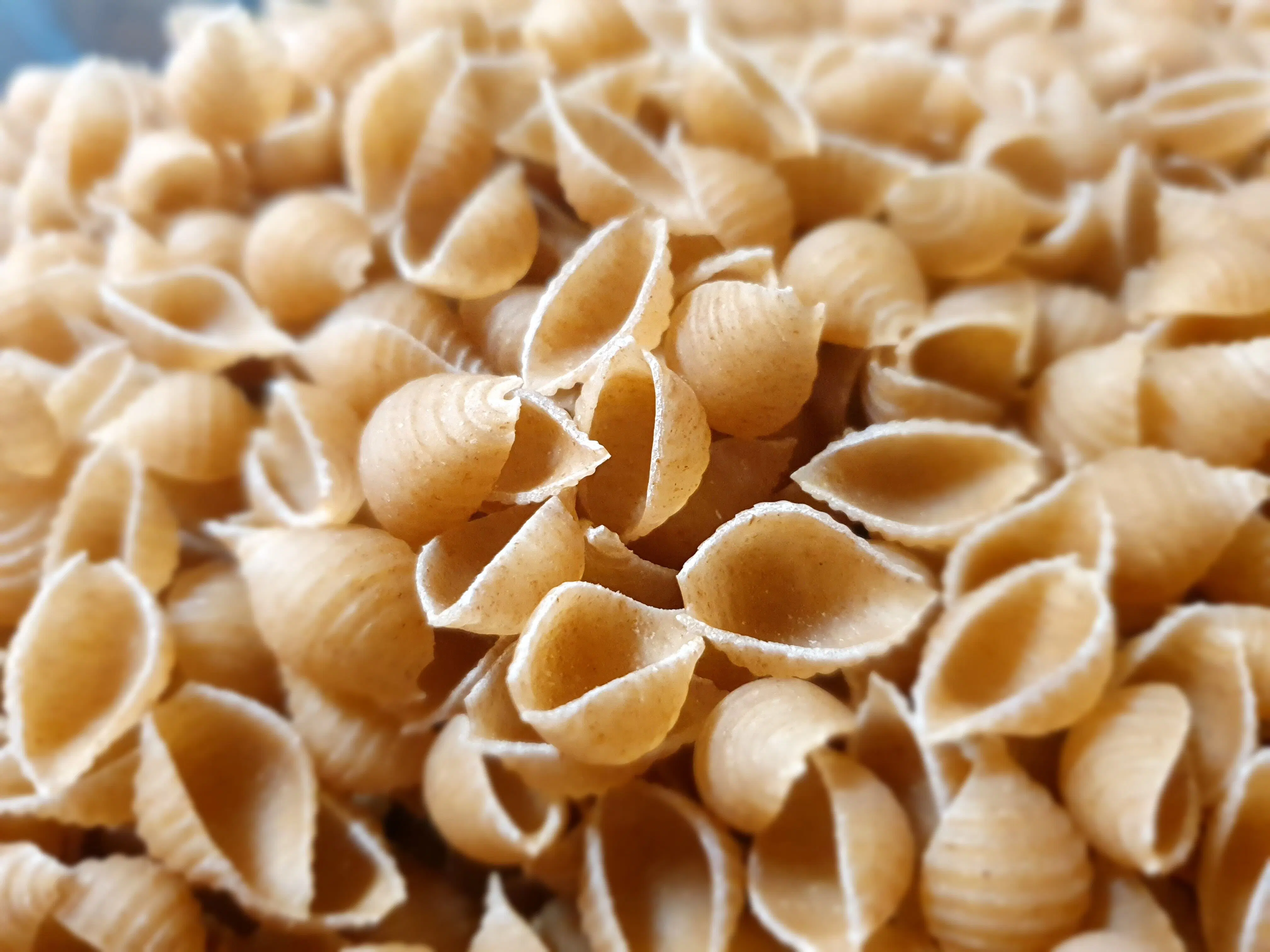 RUSTIC CONCHIGLIA with whole wheat 500G