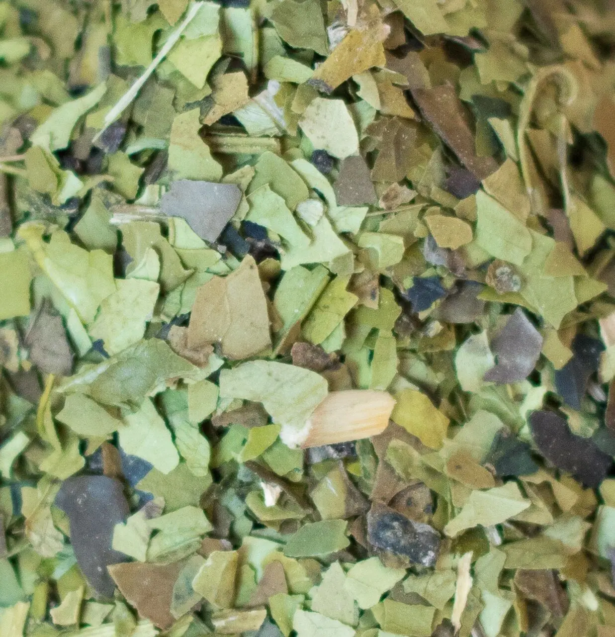 GRÜNER MATE - Bulk 1 kg