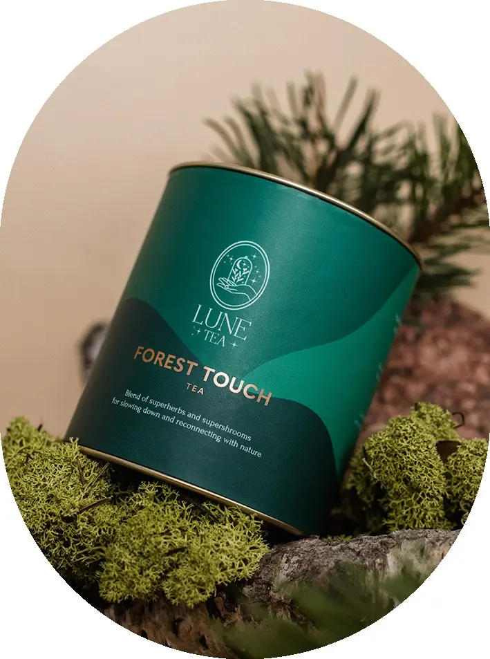 Thé Toucher Forestier