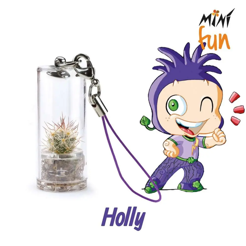 Minì Fun holly - Mini plant for the daring and ambitious