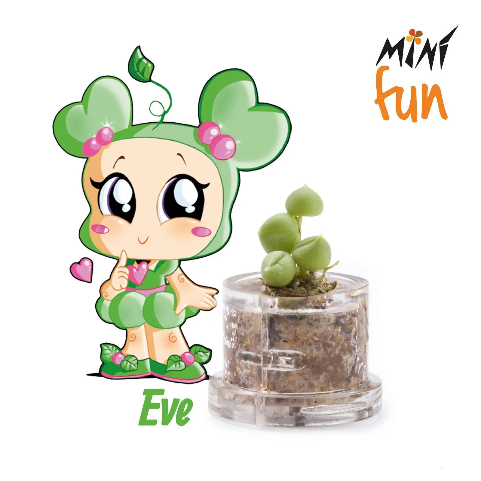 Minì Box Fun - Eve - - Mini plant for the tender and delicate