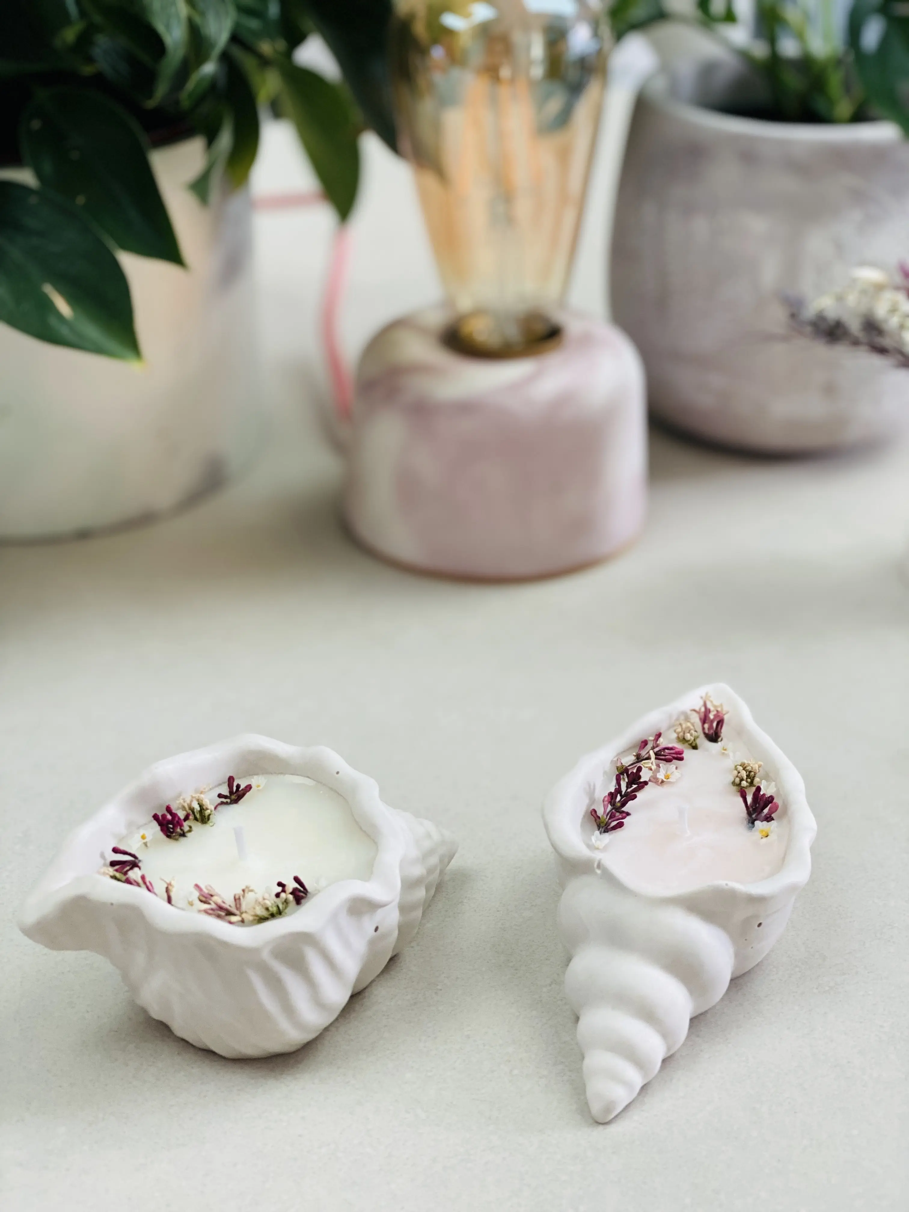 Jesmonite Dried Flowers Scented Soy Candle | Coastal Design Seashell