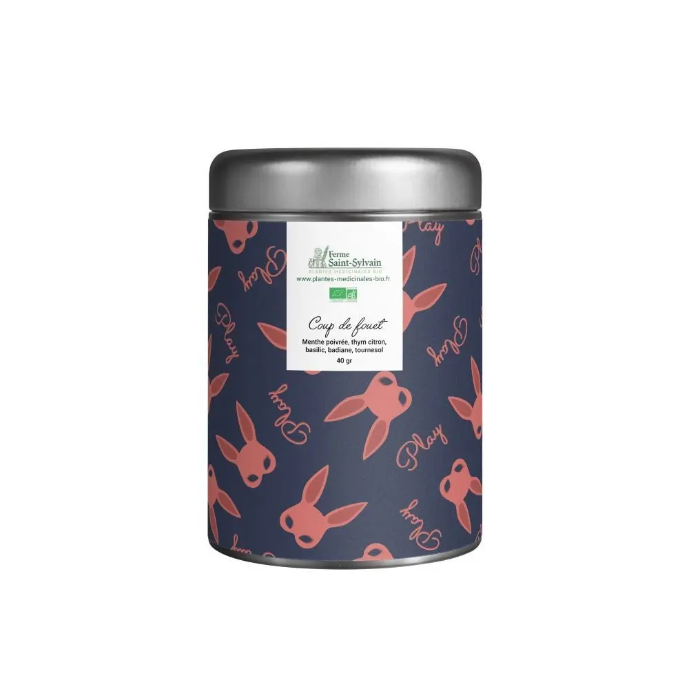Boost 40g – BIO-Kräutertee aus Pfefferminze, Zitronenthymian, Basilikum, Sternanis