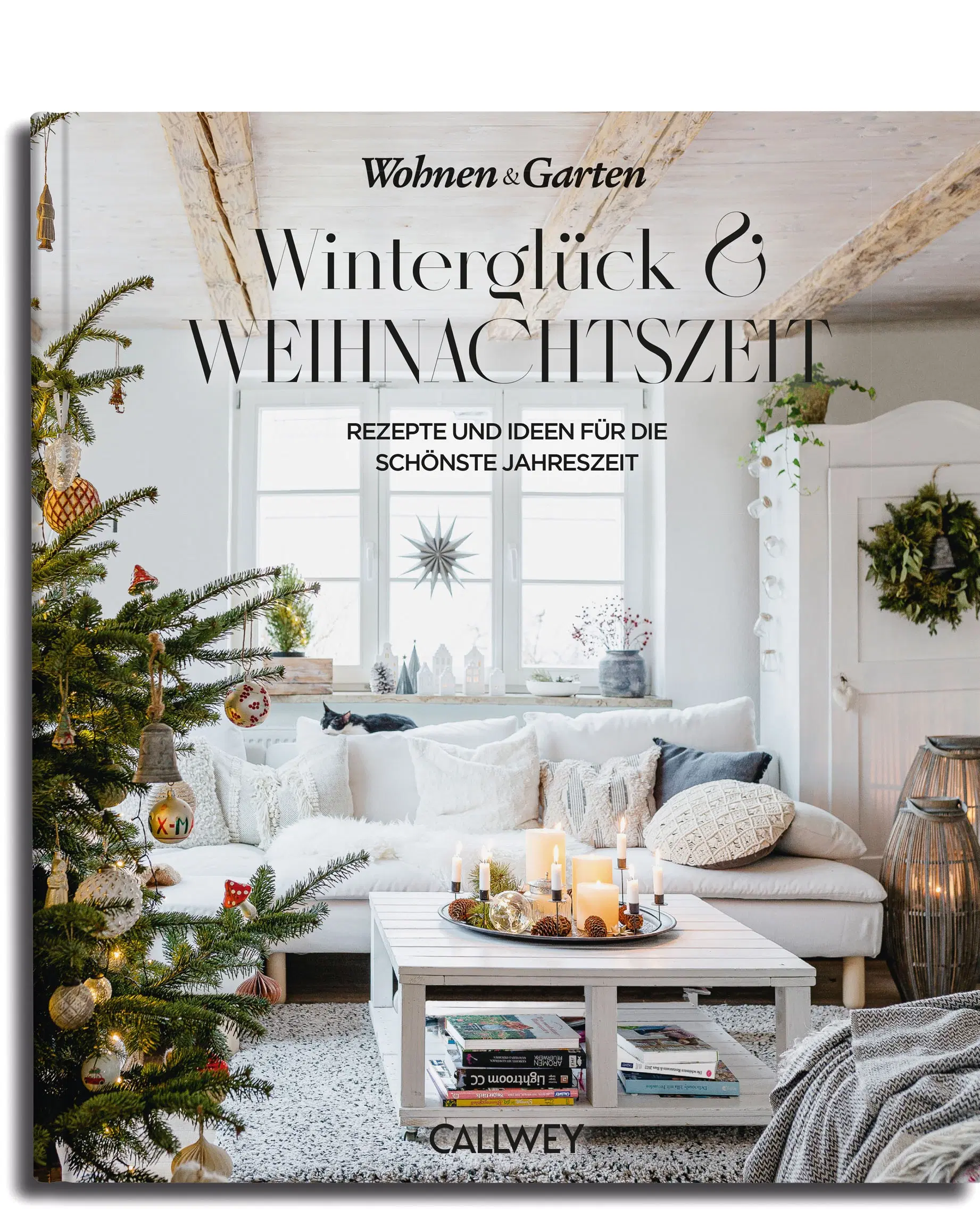Winter happiness & Christmas time. Eat Drink. Interior architecture, design