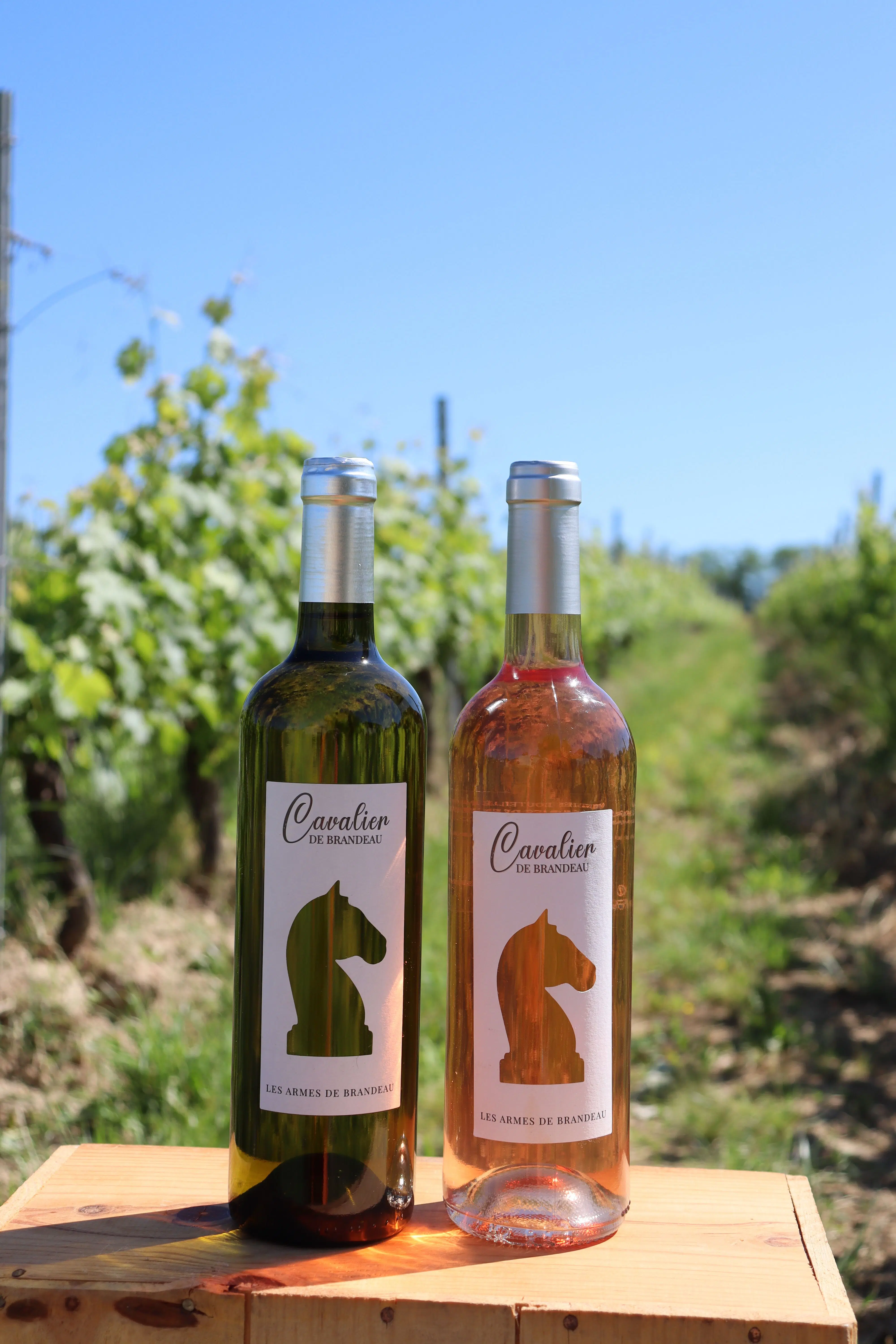 Cavalier de Brandeau white, Sauvignon blanc, Sémillon Sauvignon gris