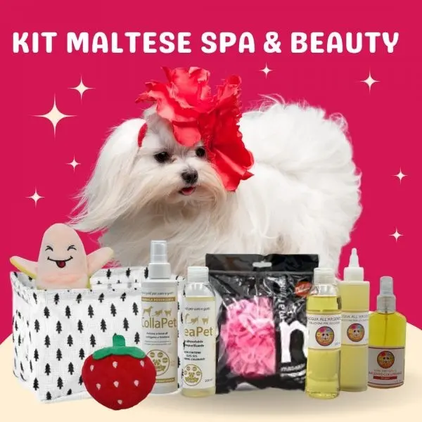Kit Spa & Beauty dedicado al bichón maltés