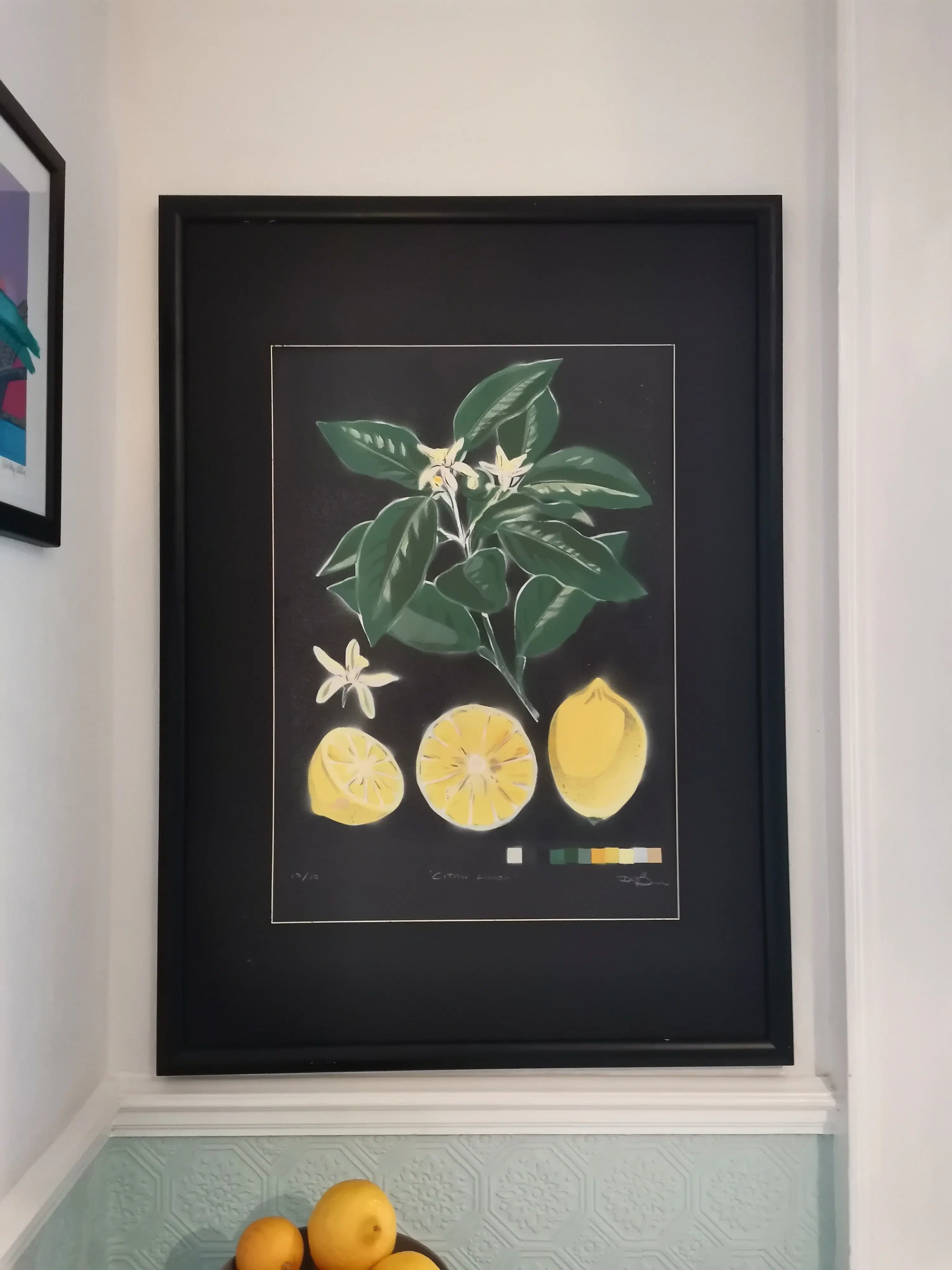 'Citrus Limon' - Original Limited Edition Painting