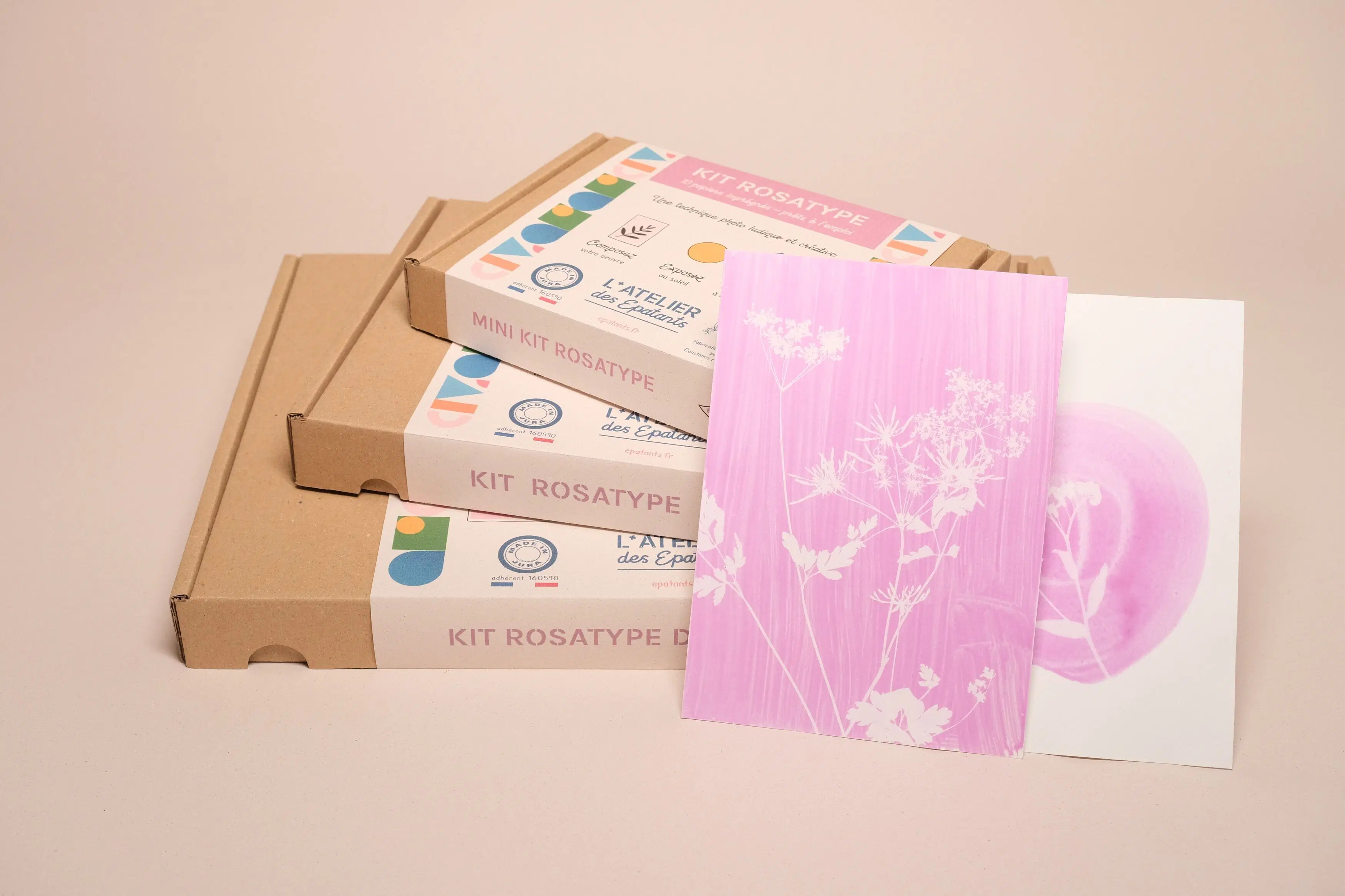 Mini kit rosatype : comme le cyanotype mais en rose