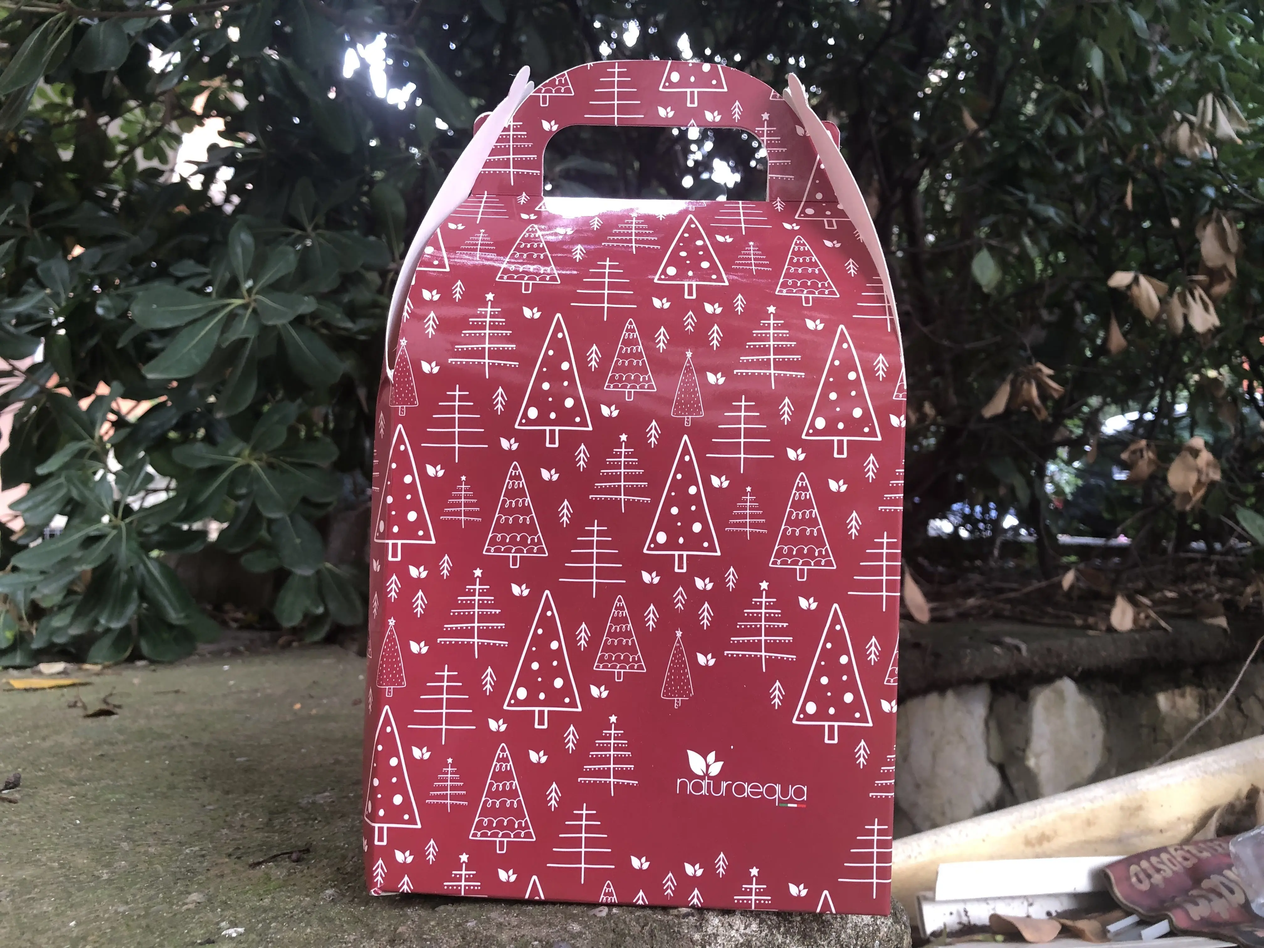Confezione regalo/regalo rossa (vuota)