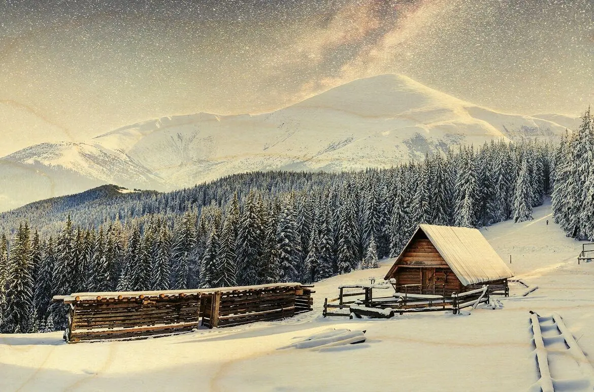 FOREST CHALET WOODEN POSTCARD