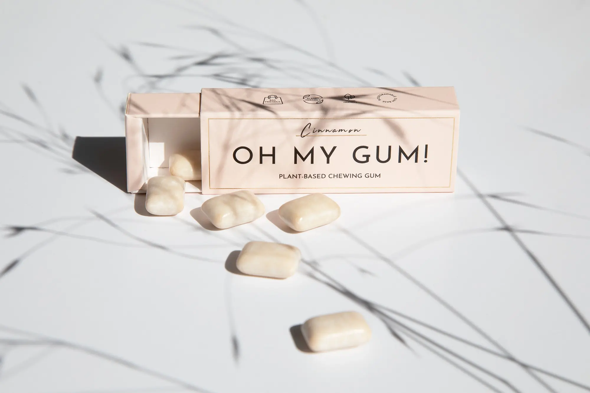 Cinnamon Chewing Gum (19g x 12) - Award-winning, Sugar-free & Plastic-free