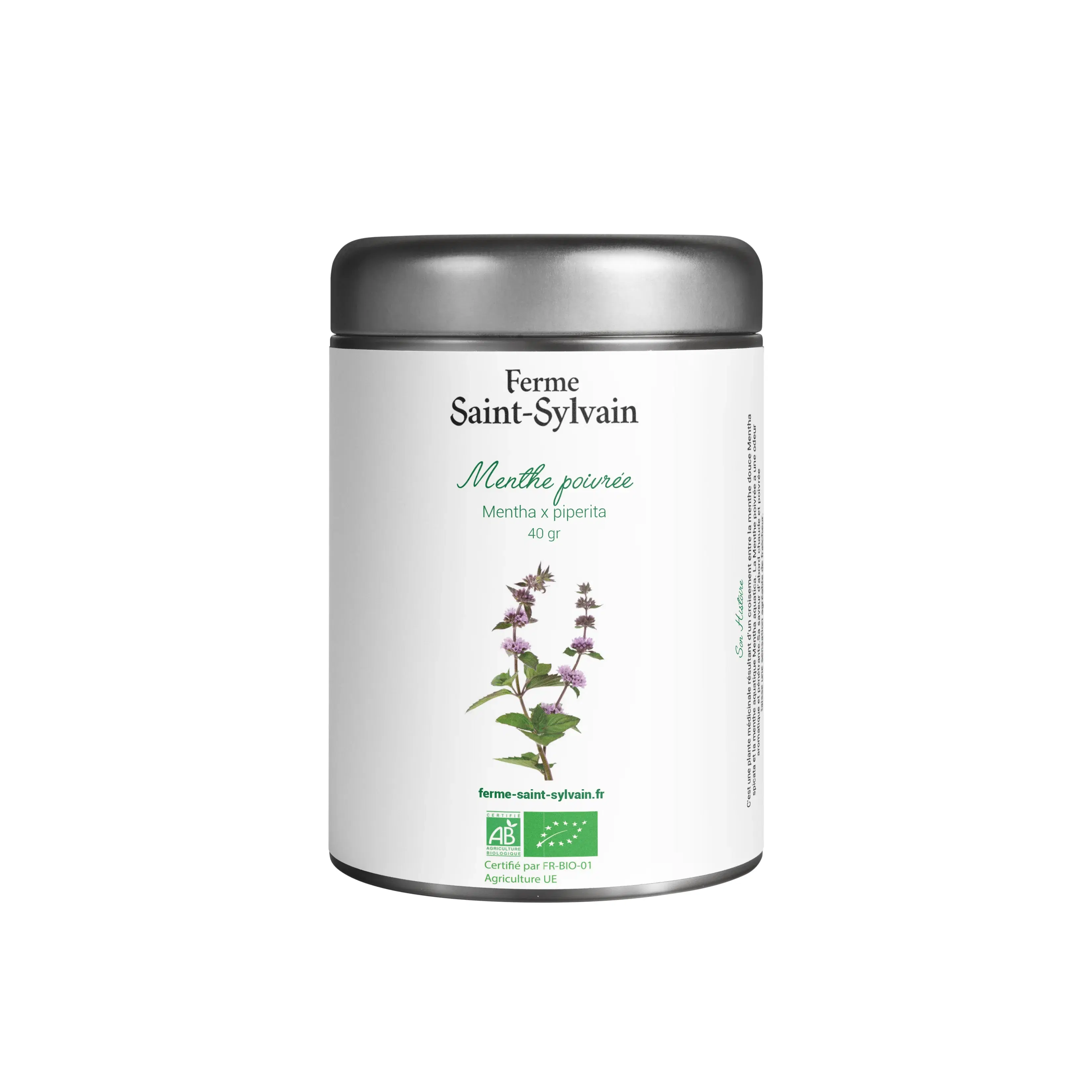 Bio-Pfefferminztee – 40 g