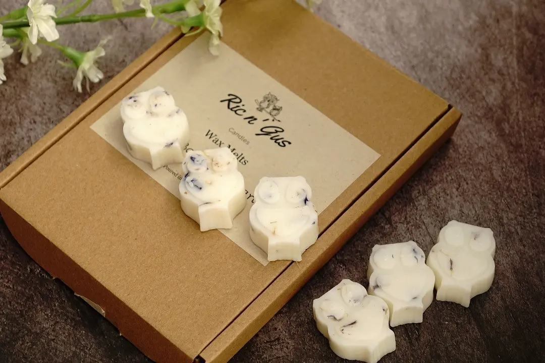 Starry Night Scented Wax Melts