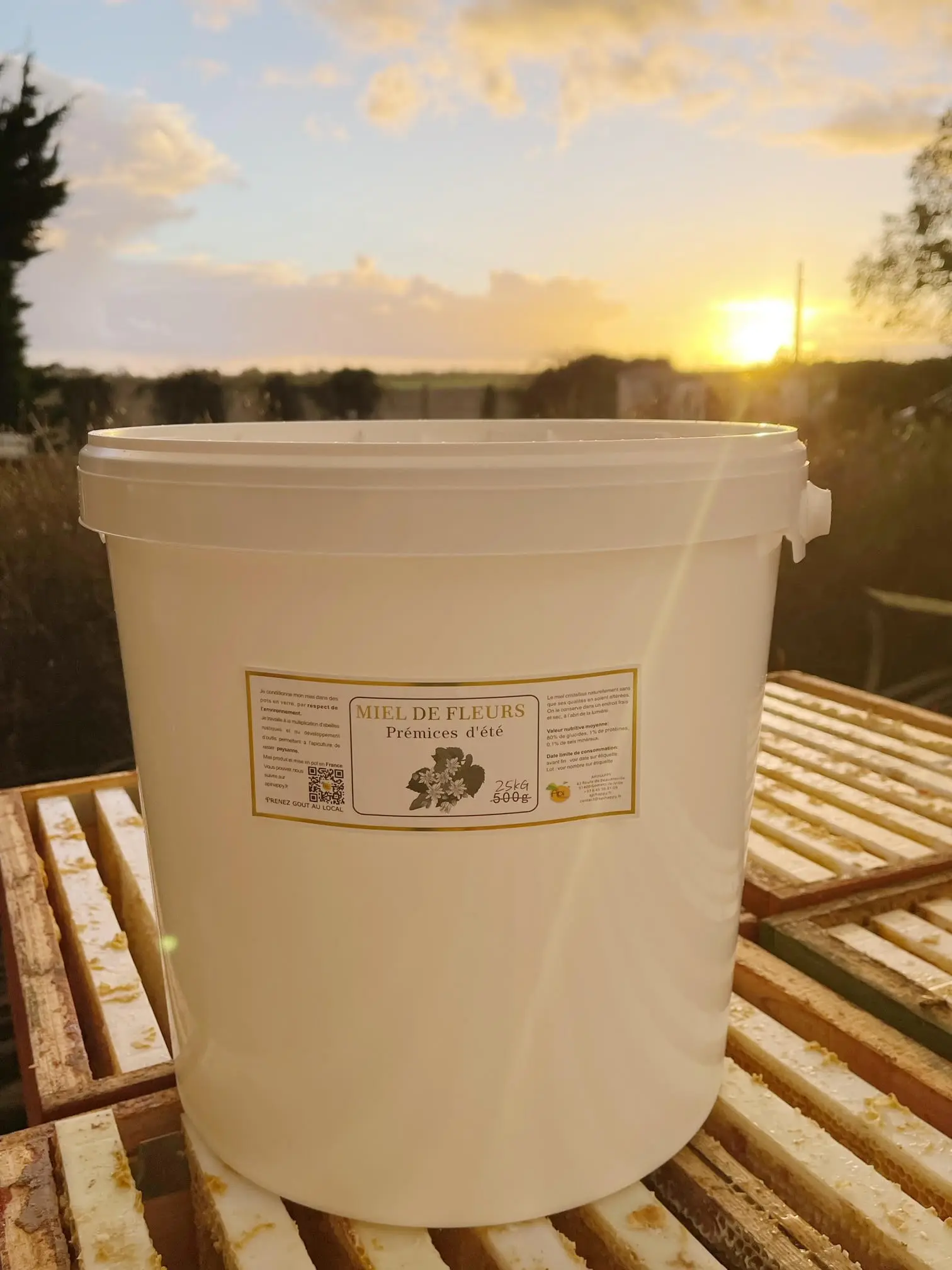 Summer early fruits honey (Linden) in 25KG bucket (France)