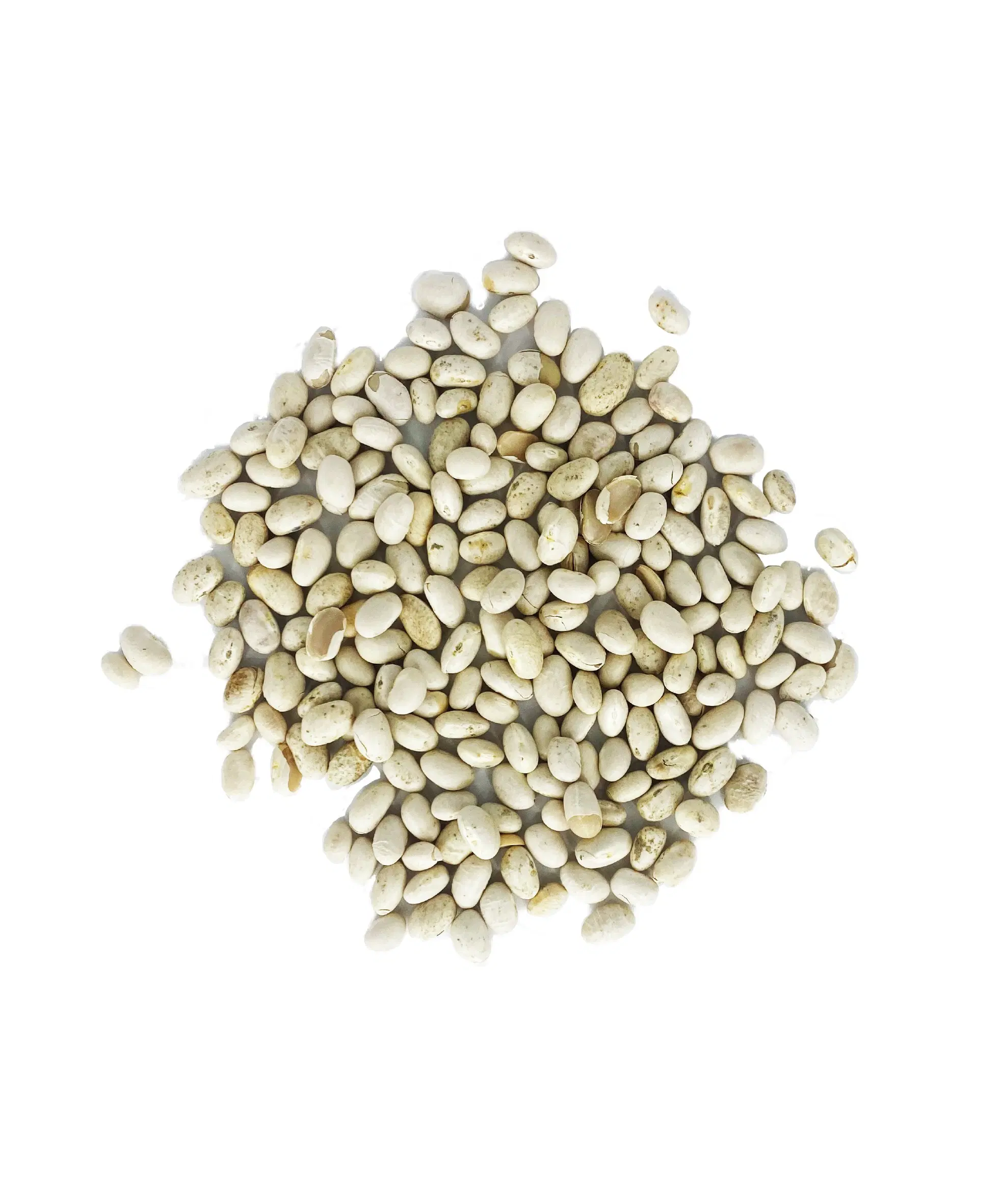 Bio Weiße Bohnen 5kg