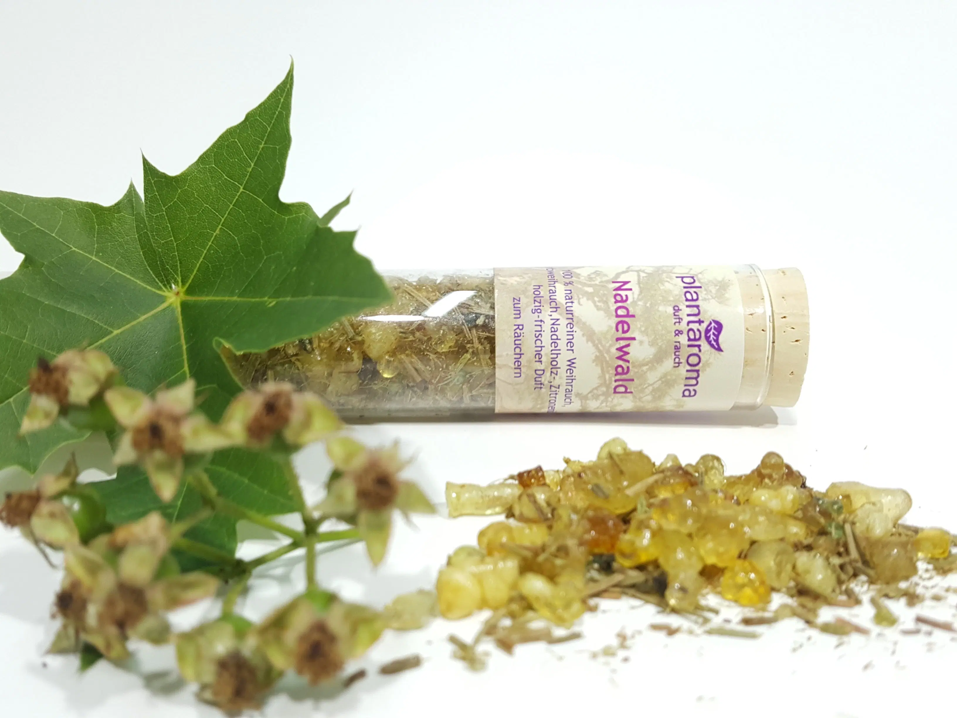 Coniferous incense