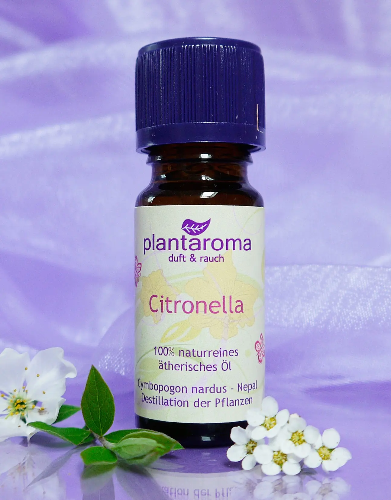 Citronella