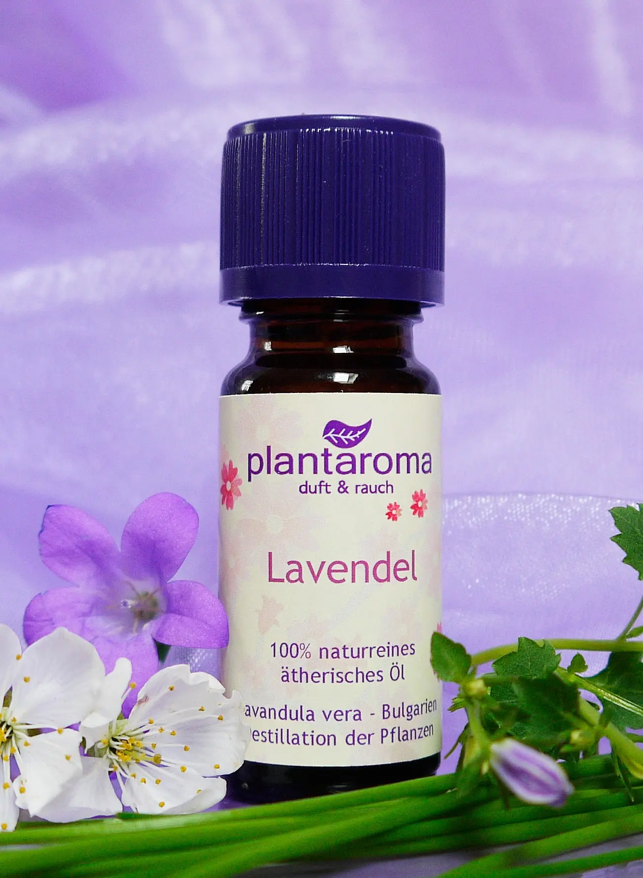 lavender