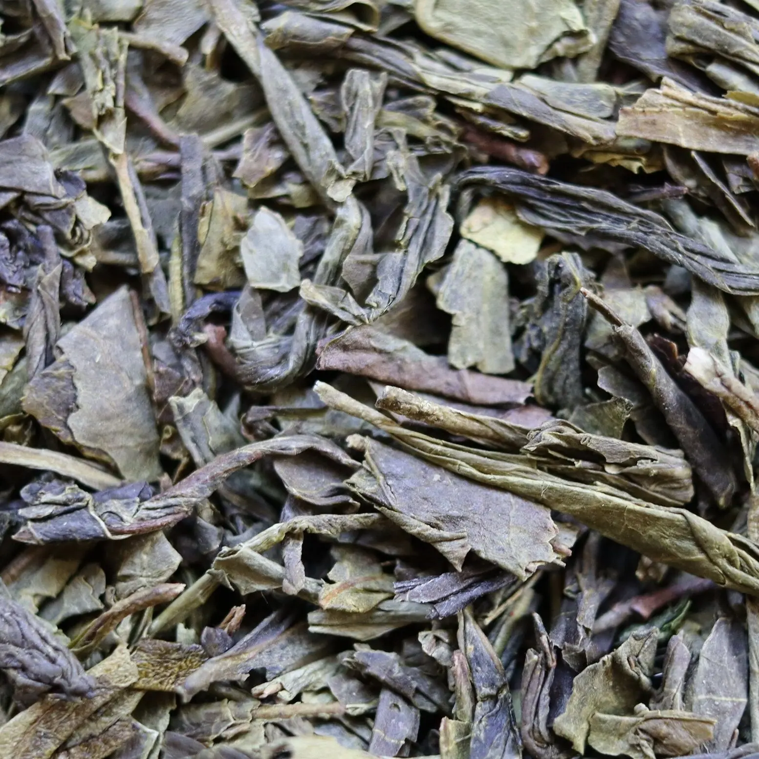 Grüner Sencha-Tee - BULK 1Kg