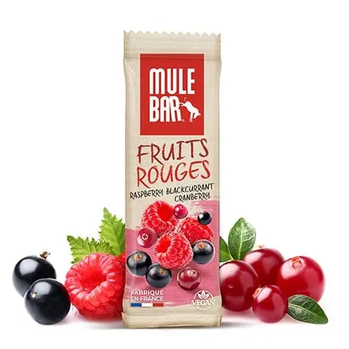Vegan cereal & fruit bar 40g Blackcurrant - Cranberry - Raspberry