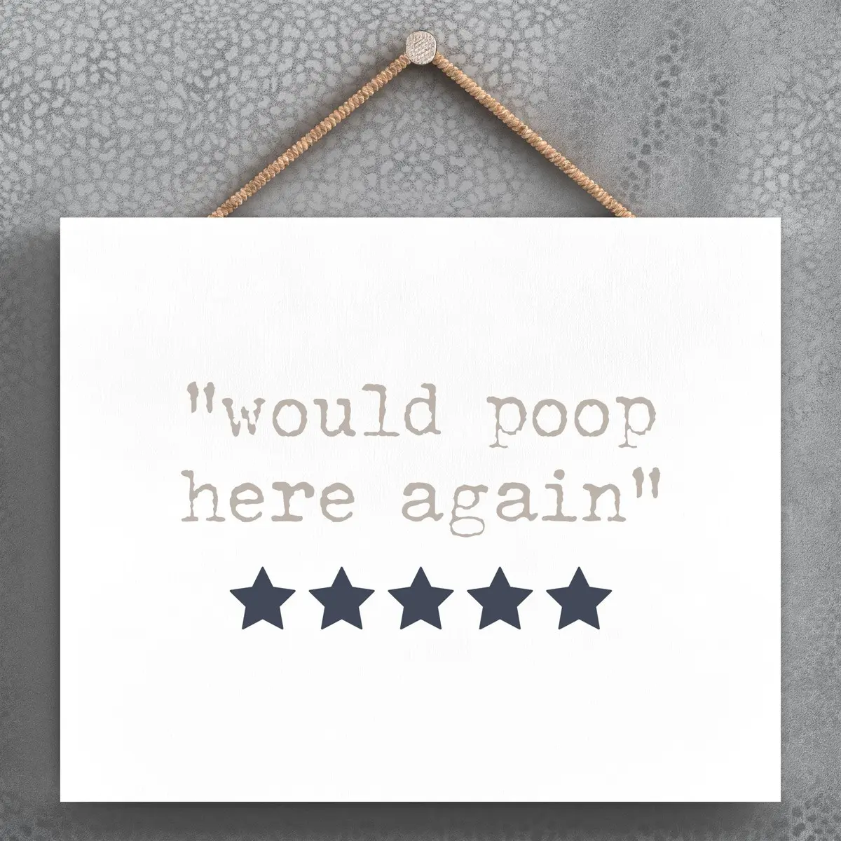 P3401 - Bathroom Review Modern Grey Typography Home Humour Wooden Hanging Plaque
