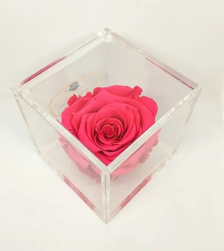 Cube Eternal Roses Scented Fuchsia 8cm Gift Gift, Italy