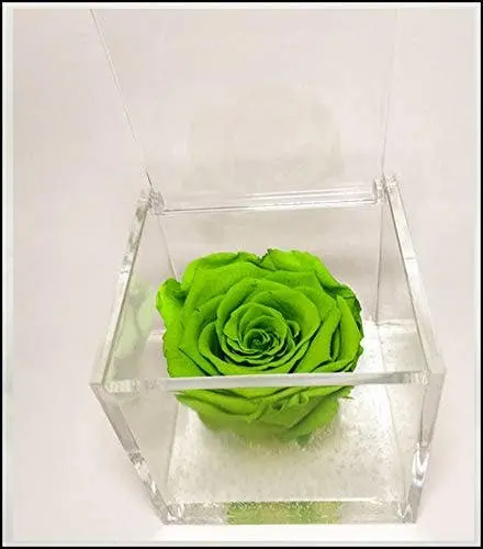 Cube Eternal Roses Scented Green 8cm Gift Made in Italy