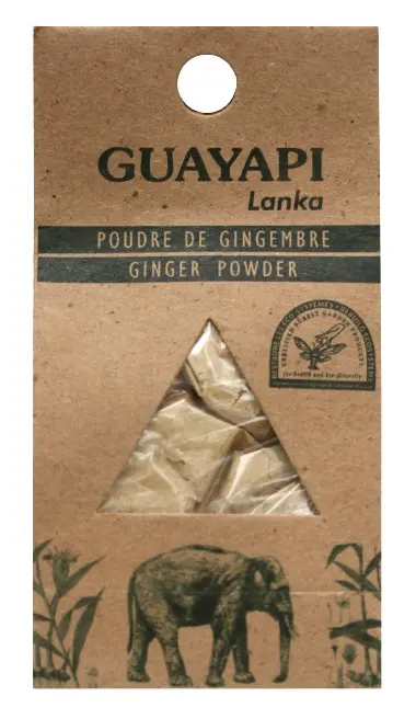 Gingembre