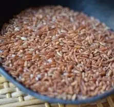 Riz rouge bio