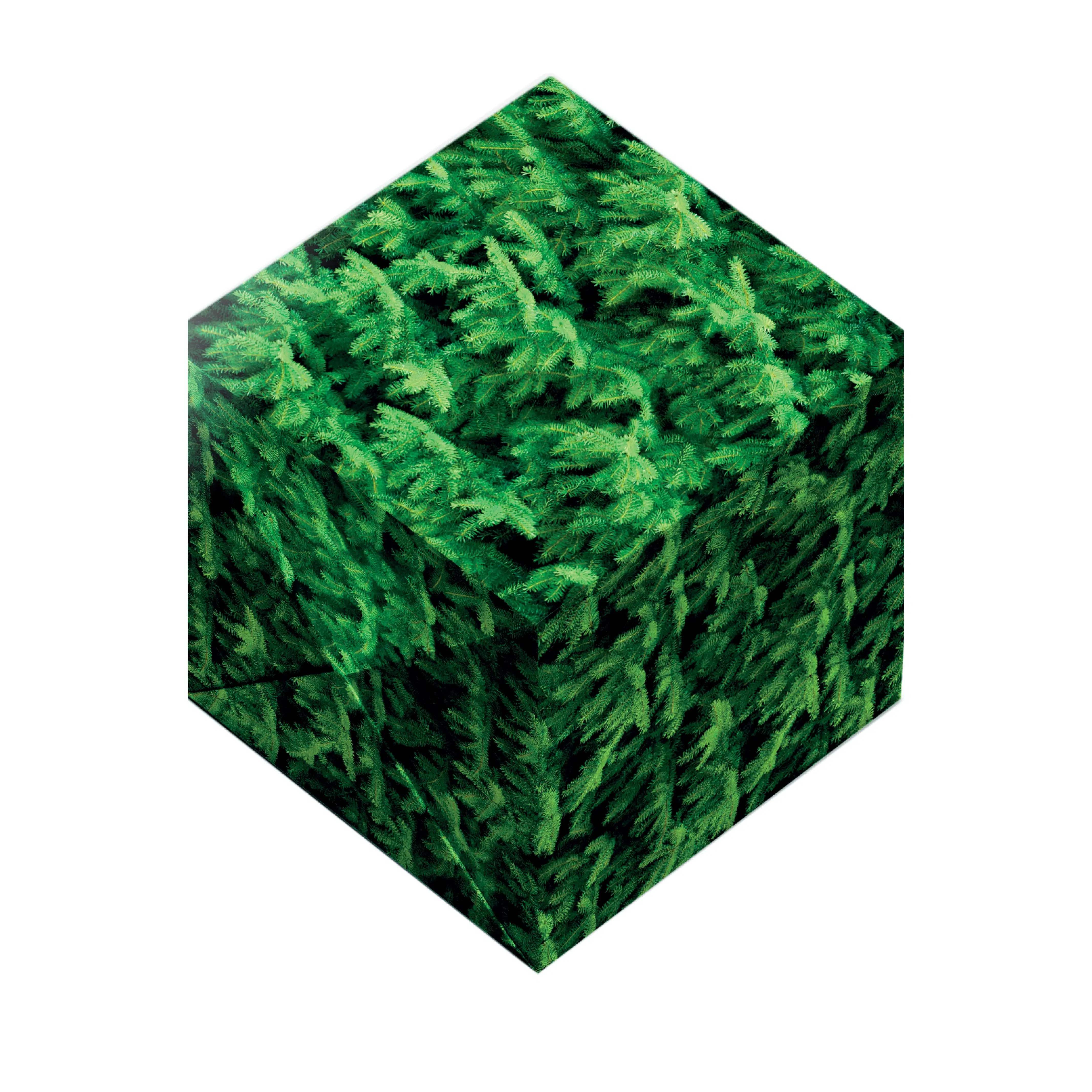 gift wrap FIR TREE realistic wrapping paper