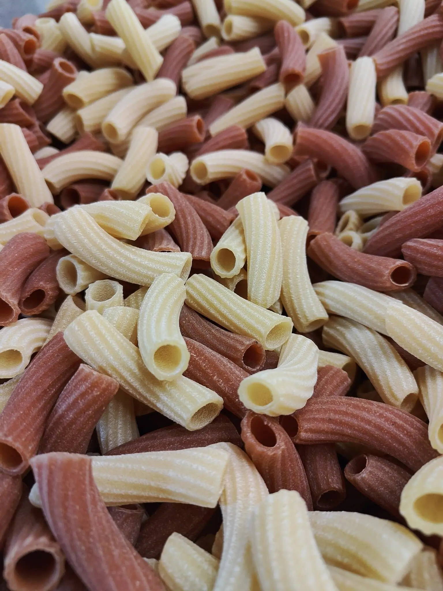 Rigatoni Grano e Pomodoro