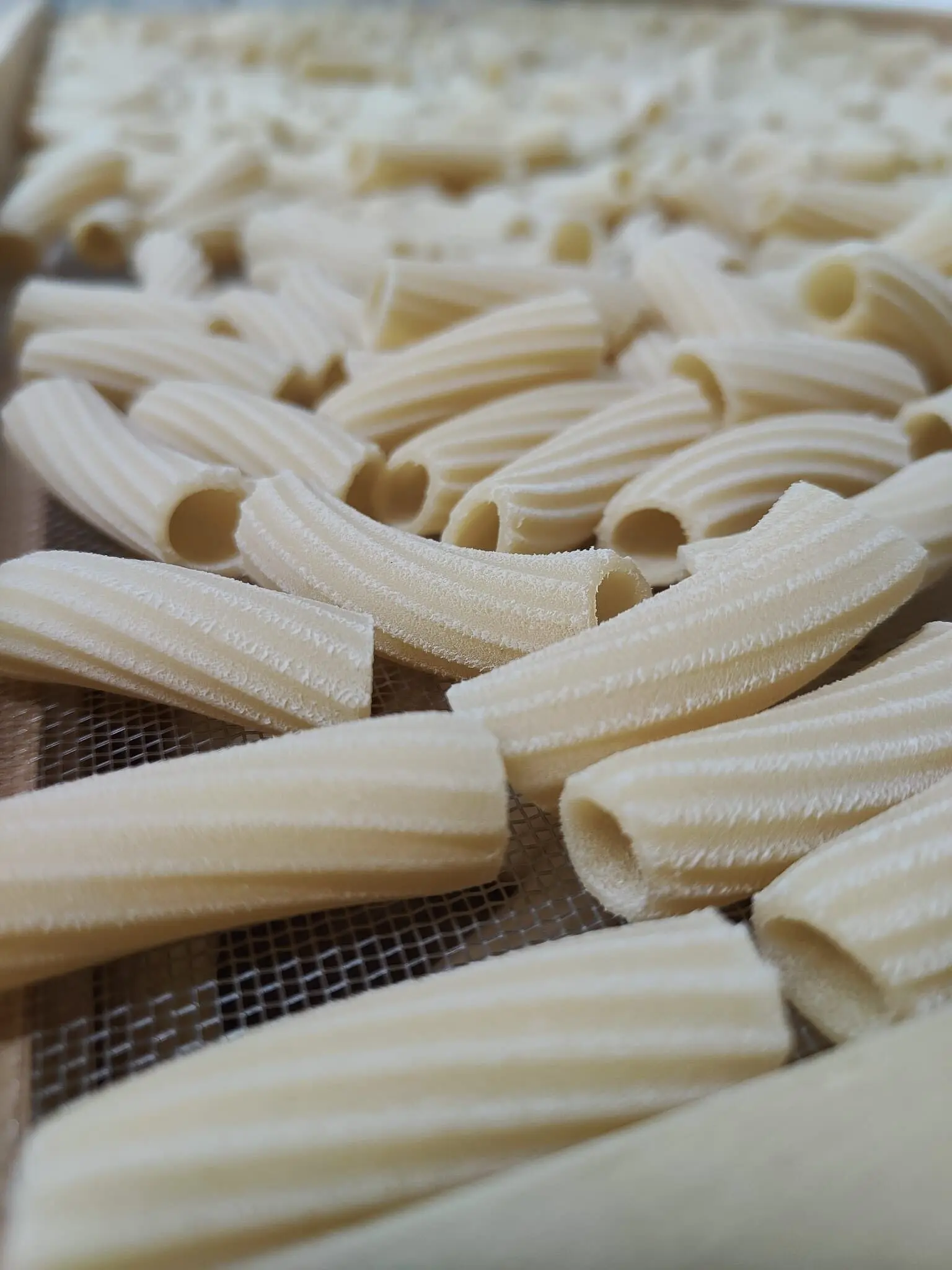 Rigatoni alle Castagne