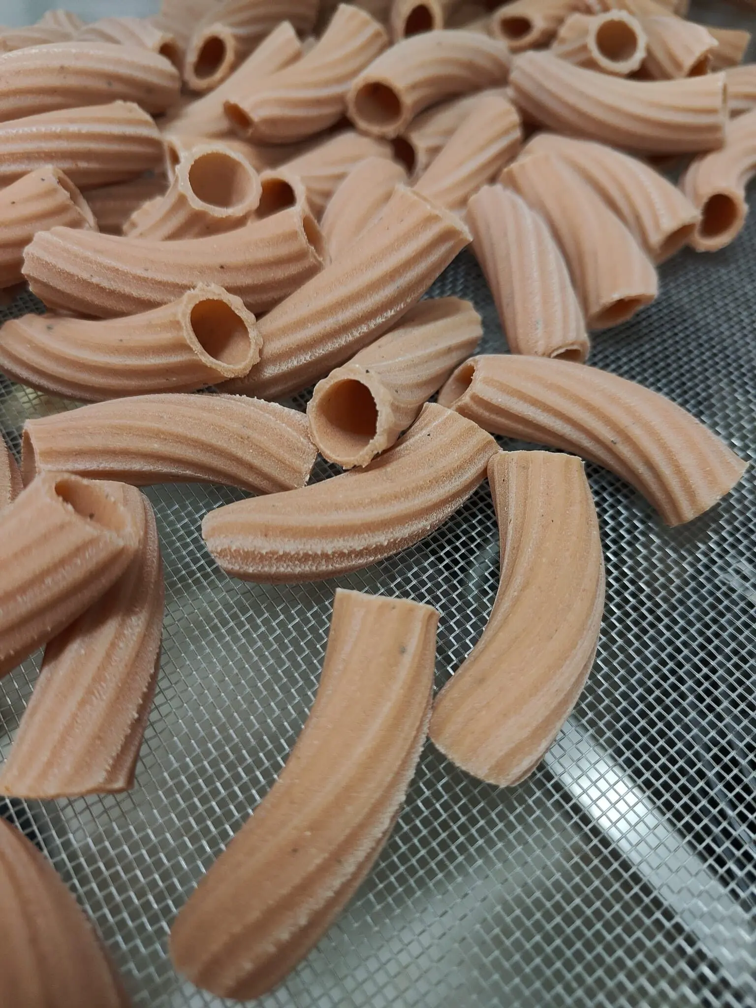 Rigatoni al Pomodoro