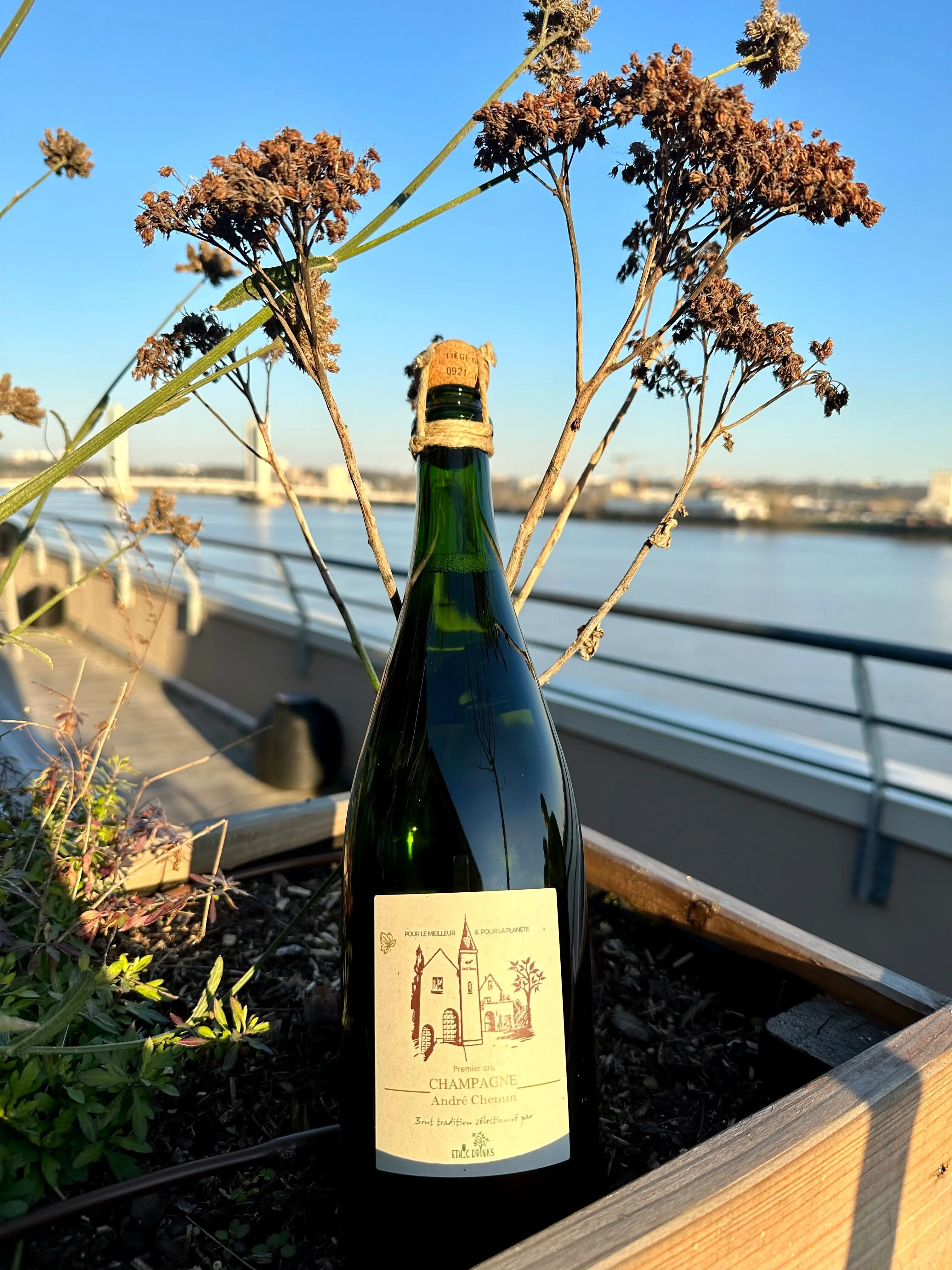 Champagne Premier Cru Brut Tradition HVE3 - André Chemin EthicDrinks