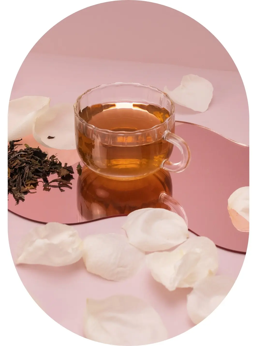 Thé à la pivoine blanche de Chine