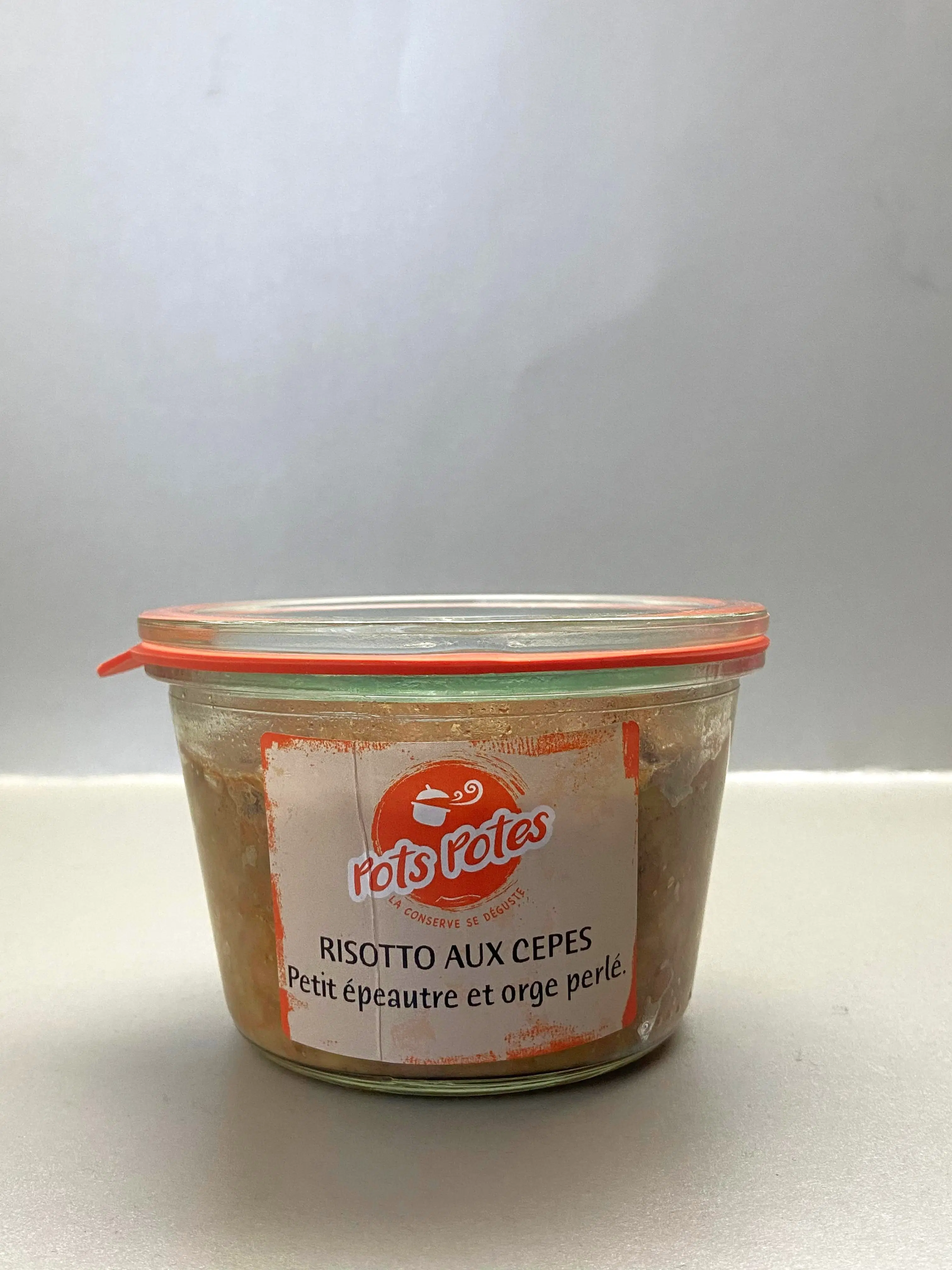 Risotto mit Steinpilzen