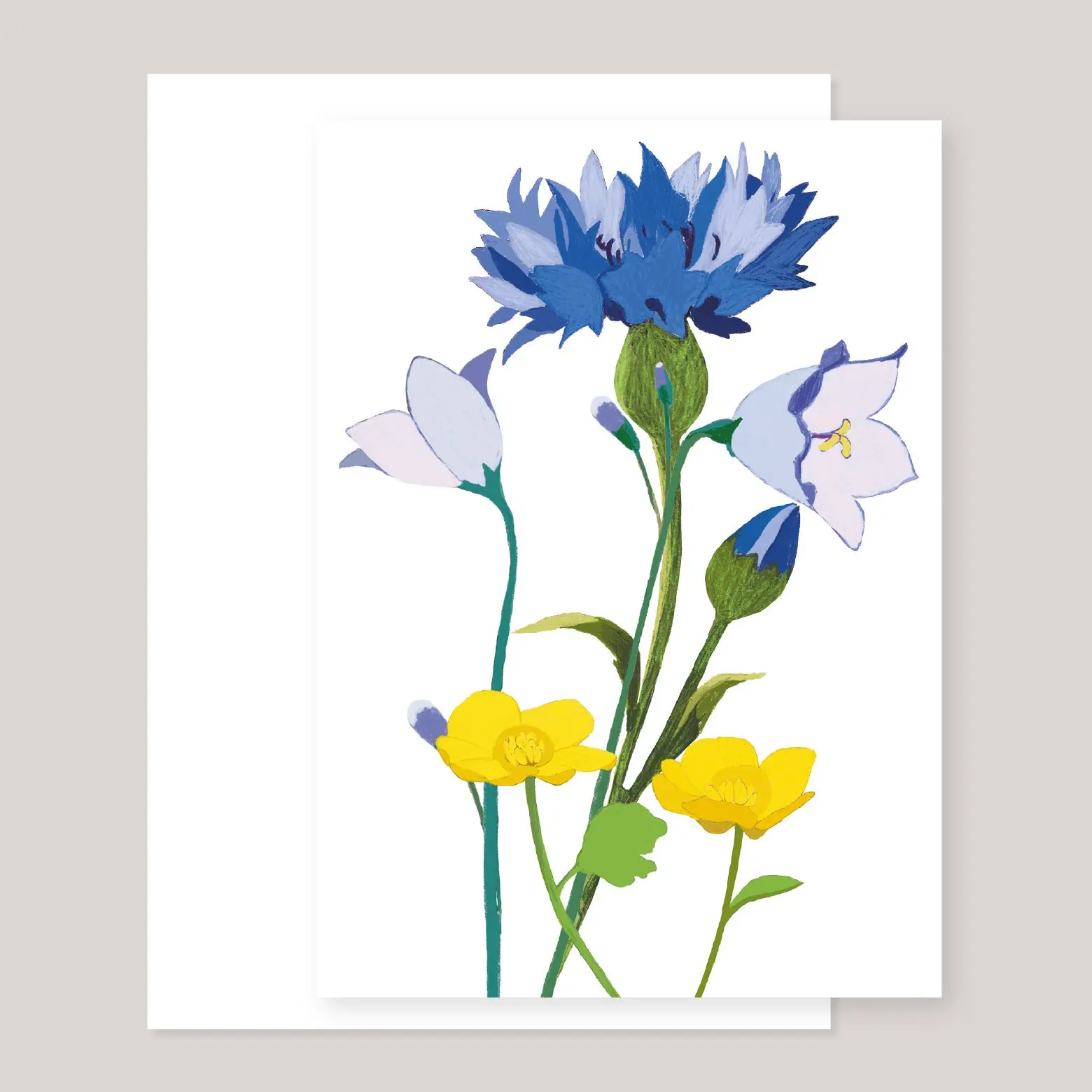 Carte de voeux "bleuet bleu"