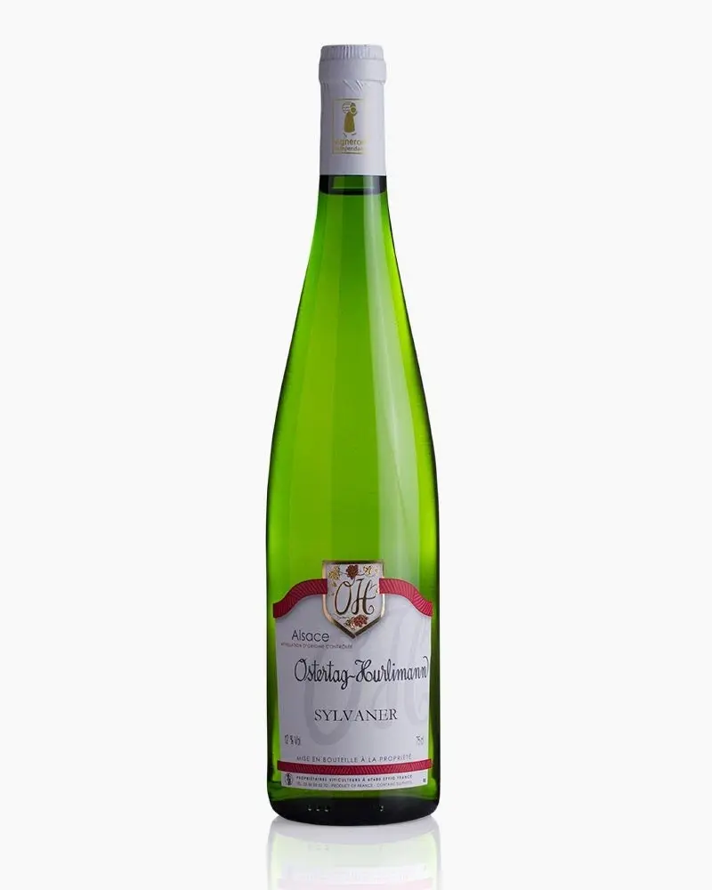 Sylvaner - Trockener Wein - Elsass - Weiß