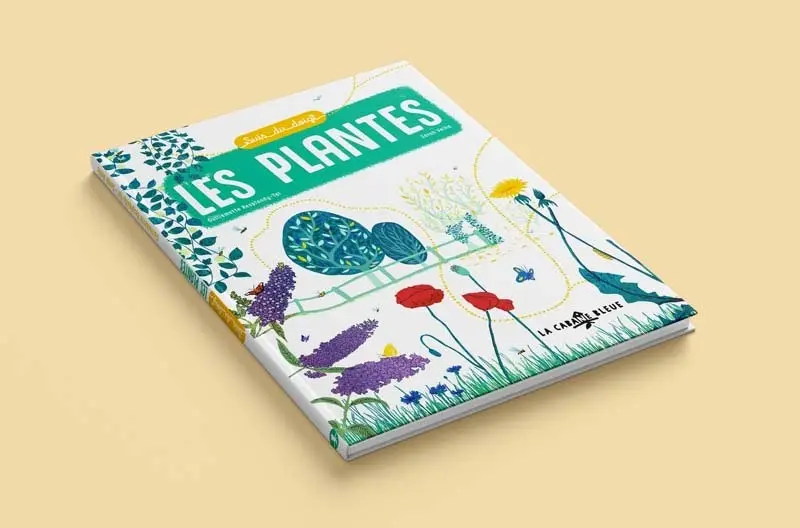 Follow the plants with your finger