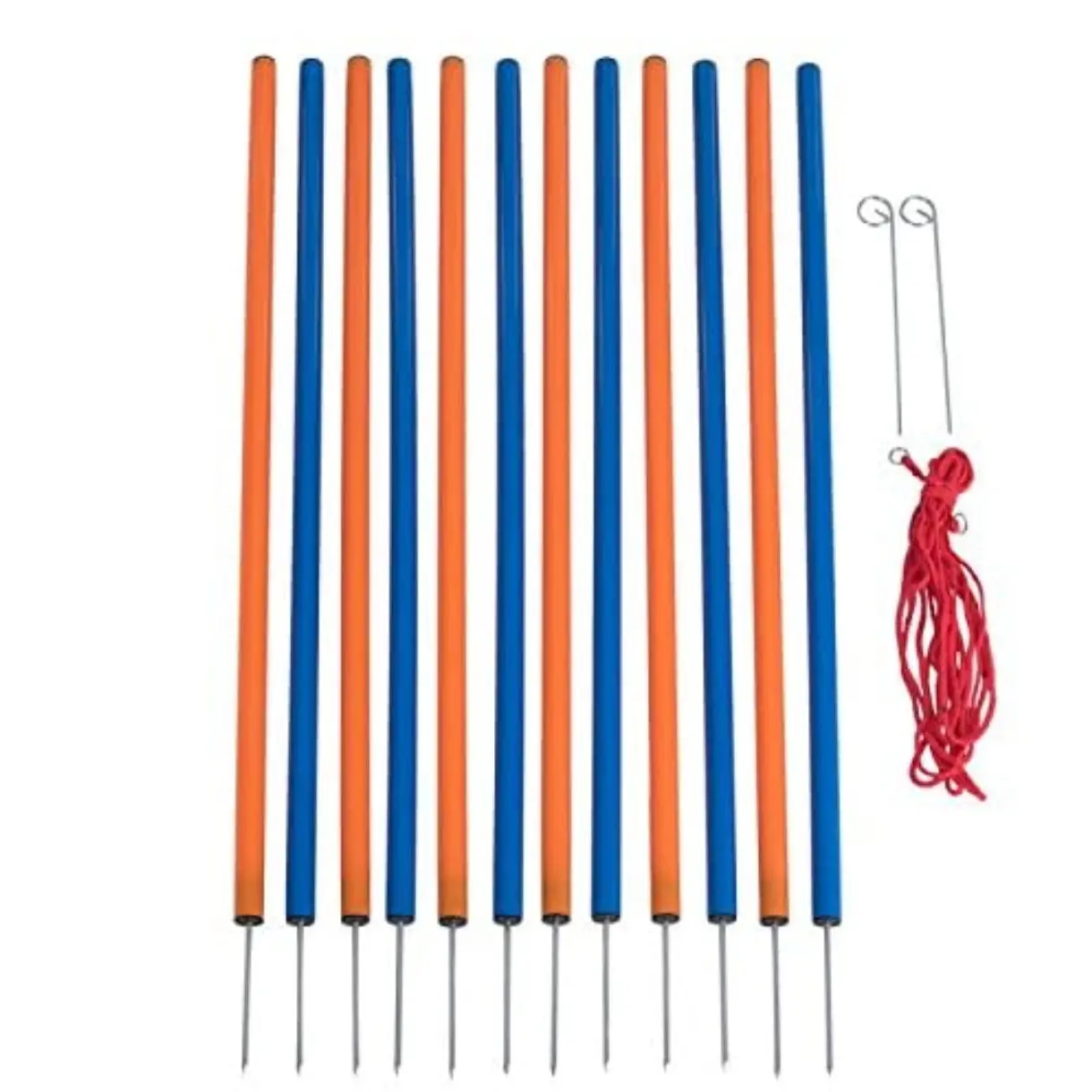 Agility for the dog - slalom set (12 pieces)