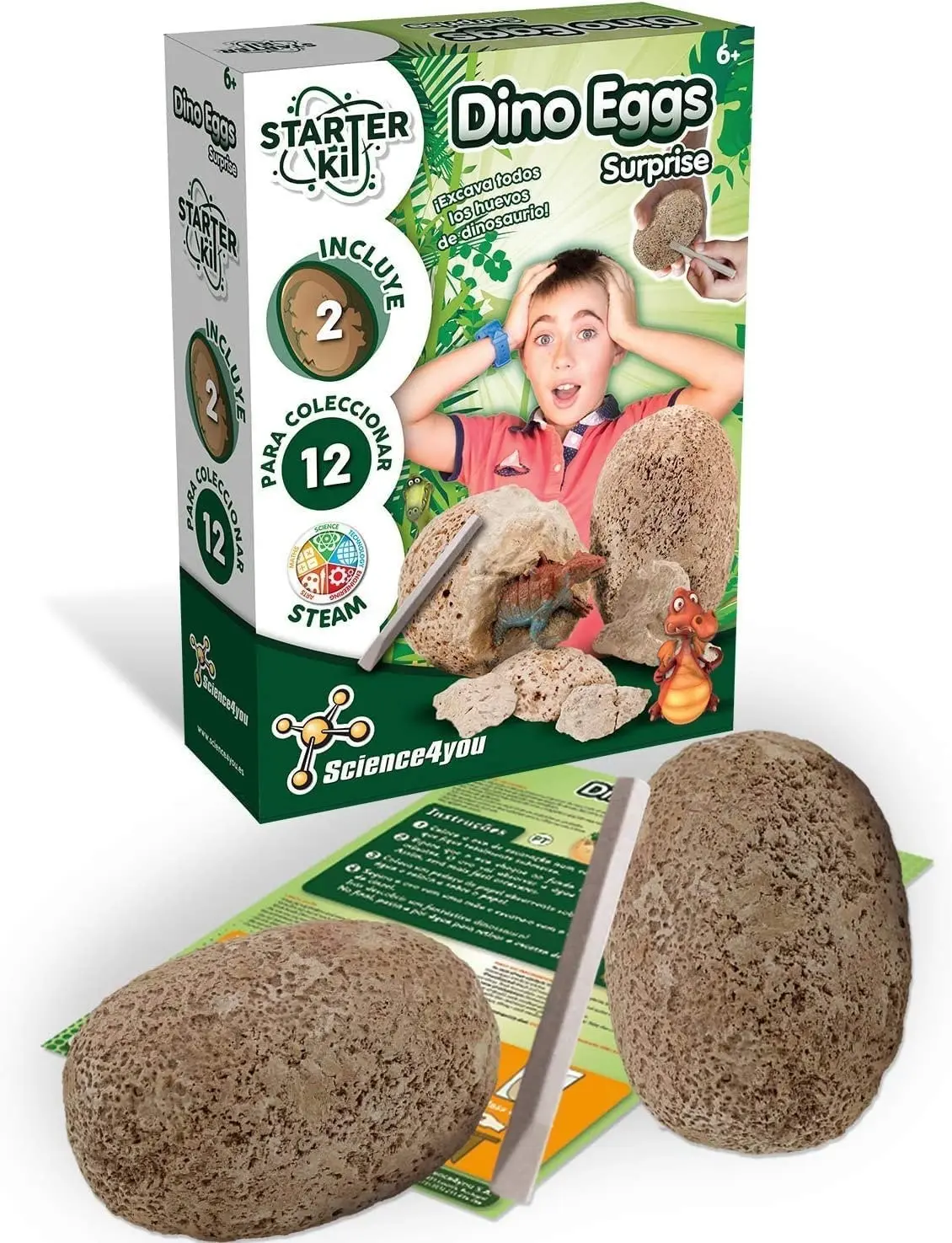 Dinosaur Eggs Starter Kit for Kids