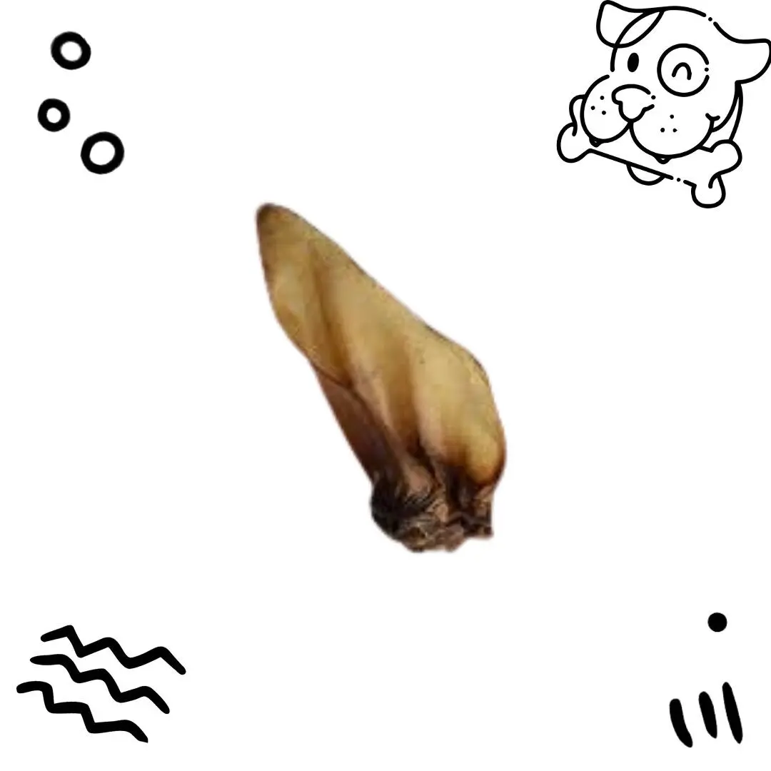 Beef Ears x 50