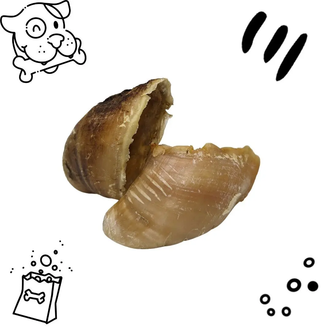 Calf's hooves - 1kg (8 to 10 pieces)