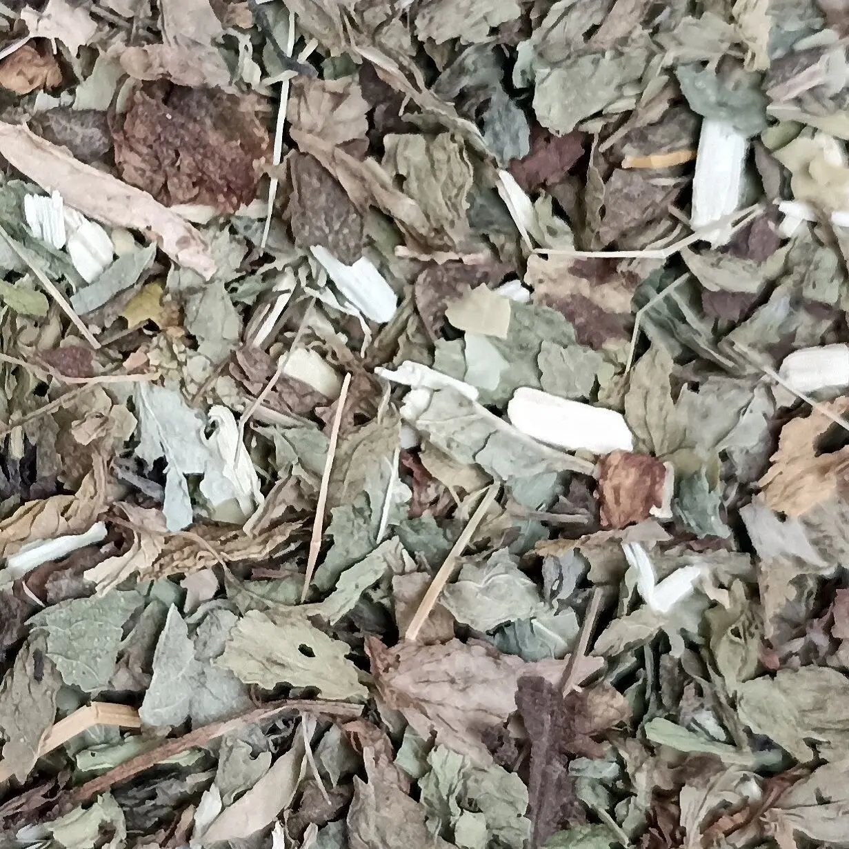 Mate-Minze - BULK 1 kg