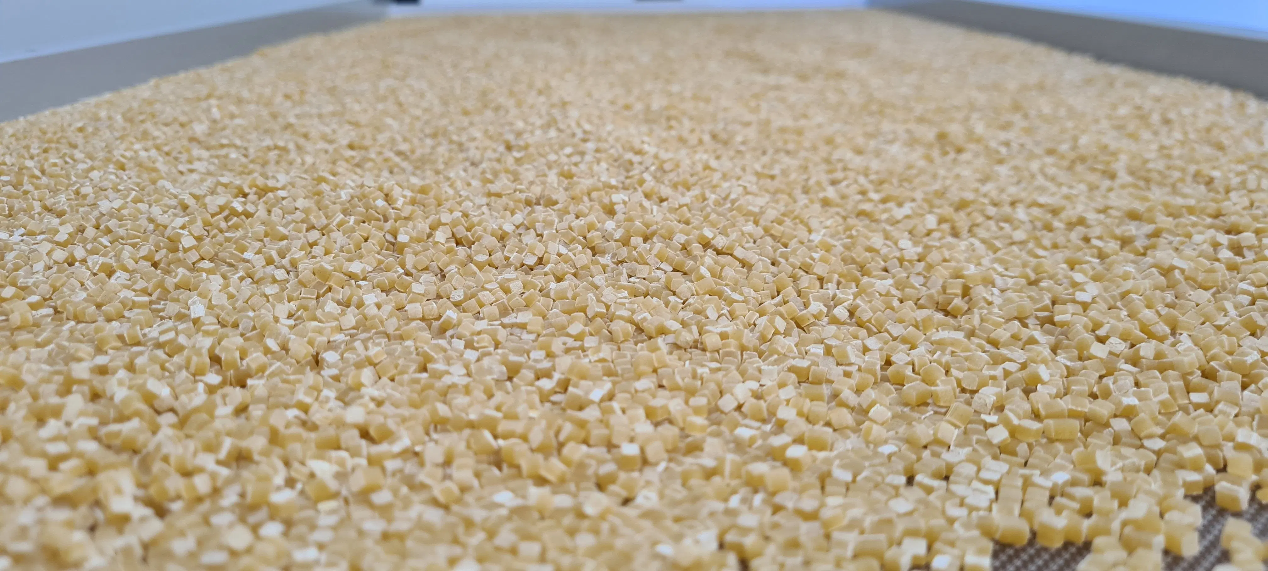 Fregola alla rinfusa